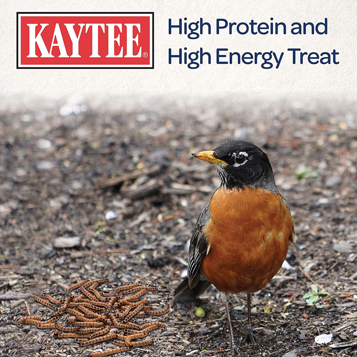 Kaytee Mealworm Food Pouch Animals & Pet Supplies > Pet Supplies > Bird Supplies > Bird Treats Kaytee   