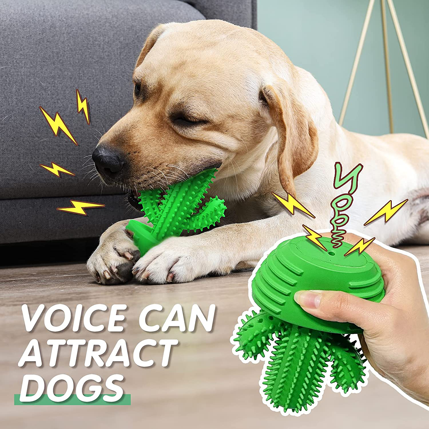The dog toothbrush clearance stick