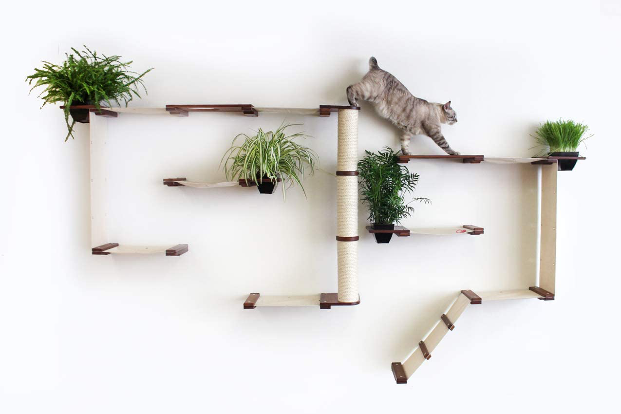 Catastrophicreations Gardens Set for Cats Multiple-Level Wall Mounted Scratch, Hammock Lounge, Play & Climbing Activity Center Furniture Cat Tree Shelves Animals & Pet Supplies > Pet Supplies > Cat Supplies > Cat Furniture CatastrophiCreations   