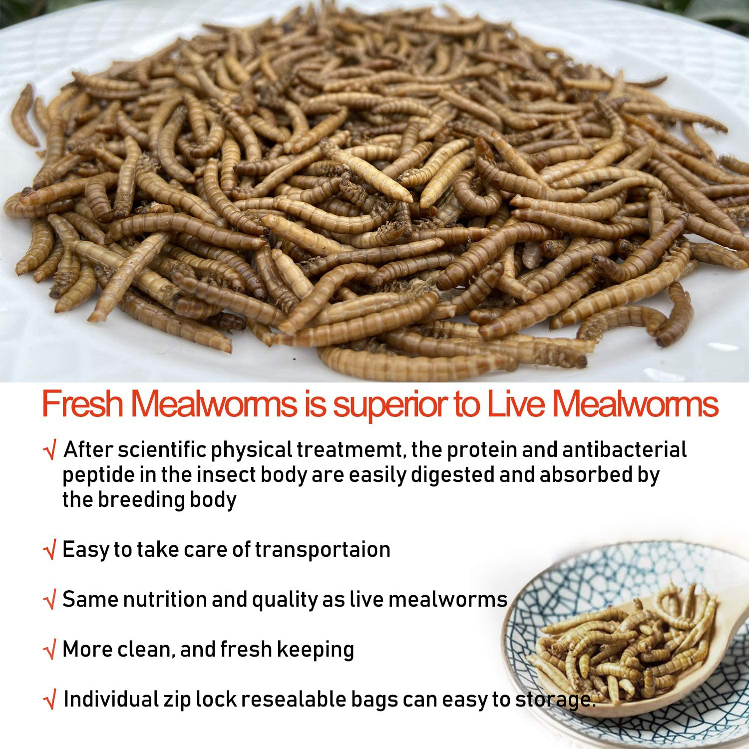 Fresh Mealworms 8.4 Oz (1600 Count Total, 12 Bags) Superior to Live Mealworms - Premium Food for Leopard Gecko, Exotic Bird Food, Sugar Glider Food, Hedgehog Food -High Nutritients, No Preservatives Animals & Pet Supplies > Pet Supplies > Reptile & Amphibian Supplies > Reptile & Amphibian Food Amzey   