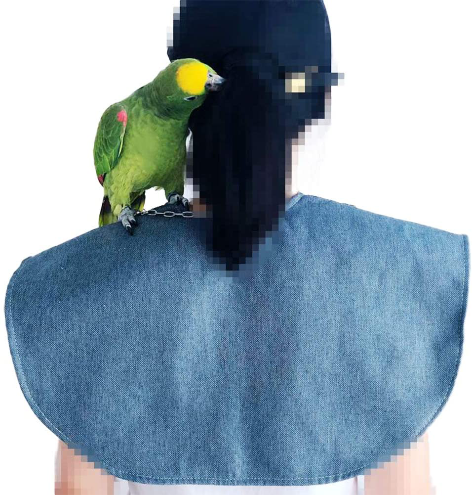 Parrot Anti-Scratch Shoulder Protector Hang Bird Anklet&Toys, Multi-Functional Pet Shoulder Pad Diaper Shawl for Small Medium Parakeets Cockatiels, Sun Conures, Macaws Love Birds, Finches Lovebird Animals & Pet Supplies > Pet Supplies > Bird Supplies > Bird Toys QBLEEV   