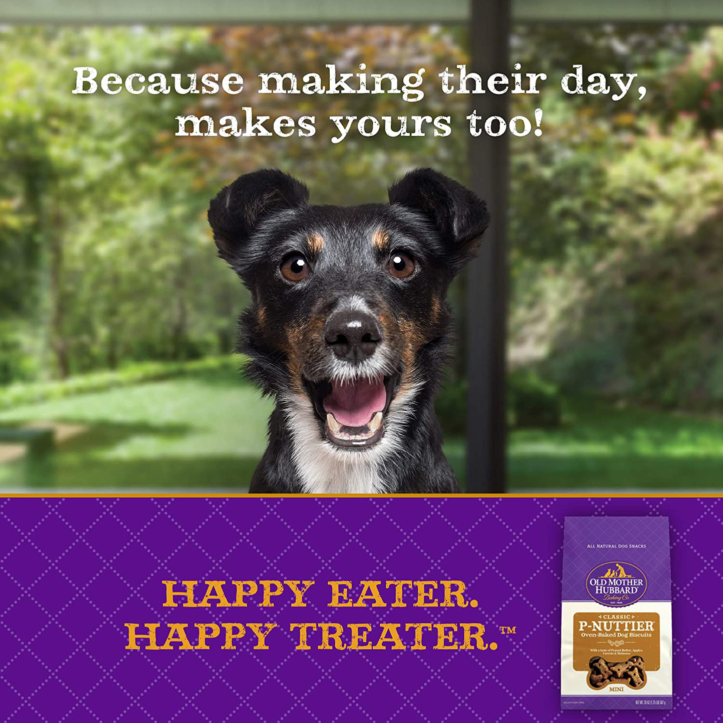 Old Mother Hubbard Classic P-Nuttier Peanut Butter Dog Treats, Oven Baked Crunchy Treats for Large Dogs, Natural, Healthy, Training Treats Animals & Pet Supplies > Pet Supplies > Dog Supplies > Dog Treats Old Mother Hubbard   