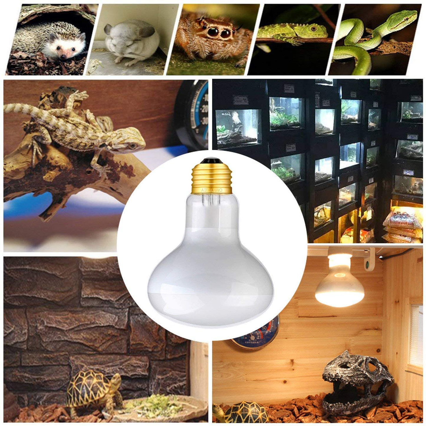 OMAYKEY 50W 2 Pack Basking Spot Heat Lamp Bulb Soft White Glow UVA Glass Cover Heat Lamp/Bulb/Light for Lizard Chameleon Bearded Dragon Snake Aquarium Reptile & Amphibian