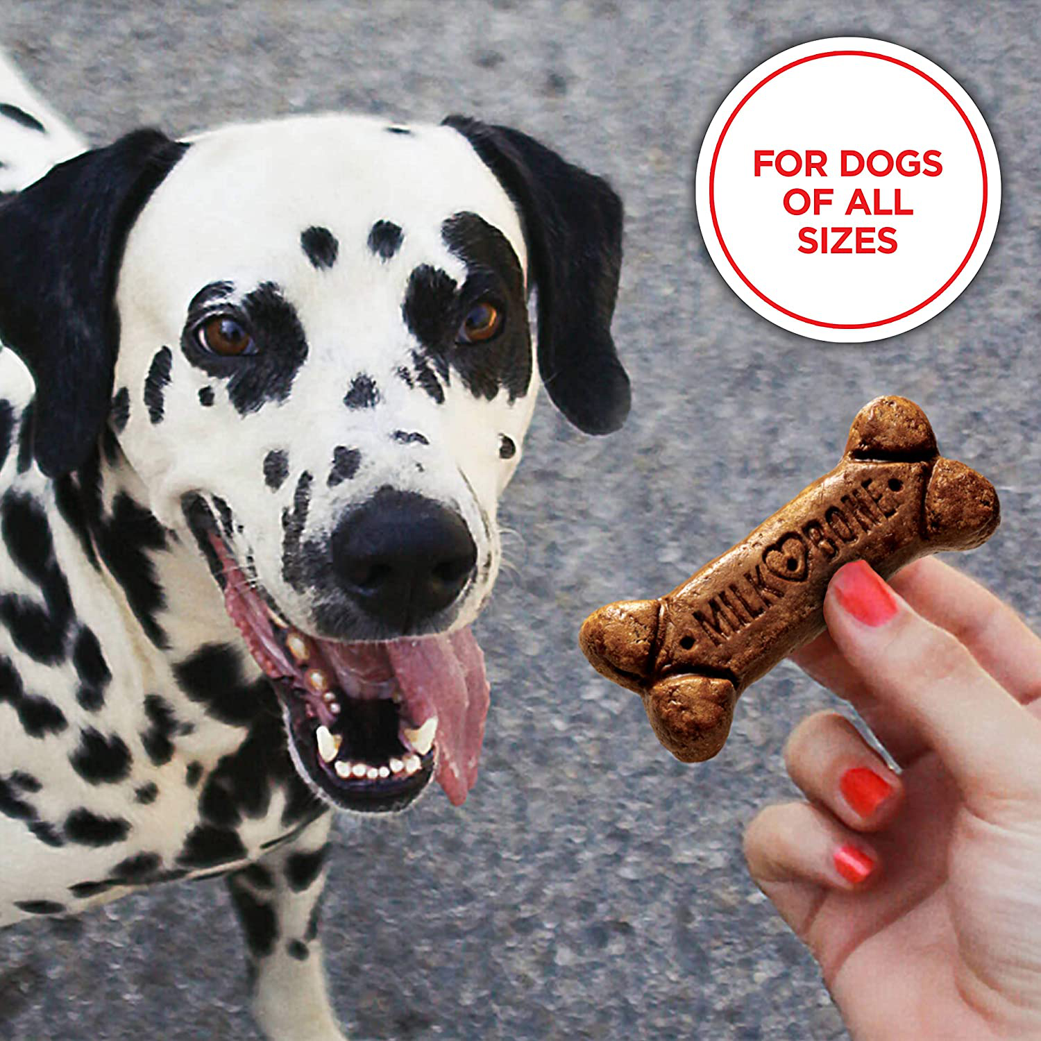 Milk-Bone Grain Free Dog Biscuits, Small Size Animals & Pet Supplies > Pet Supplies > Small Animal Supplies > Small Animal Treats Milk-Bone   