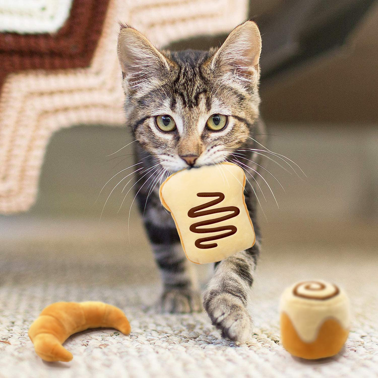 Bread Catnip Toys Kitten Interactive Toys for Cat Lover Gifts Kitty Chew Bite Kick Toys Supplies Baguette Croissant Pretzel Toast Bun Cinnamon Roll Plush Catmint Pet Presents Set of 6 Animals & Pet Supplies > Pet Supplies > Cat Supplies > Cat Toys CiyvoLyeen   