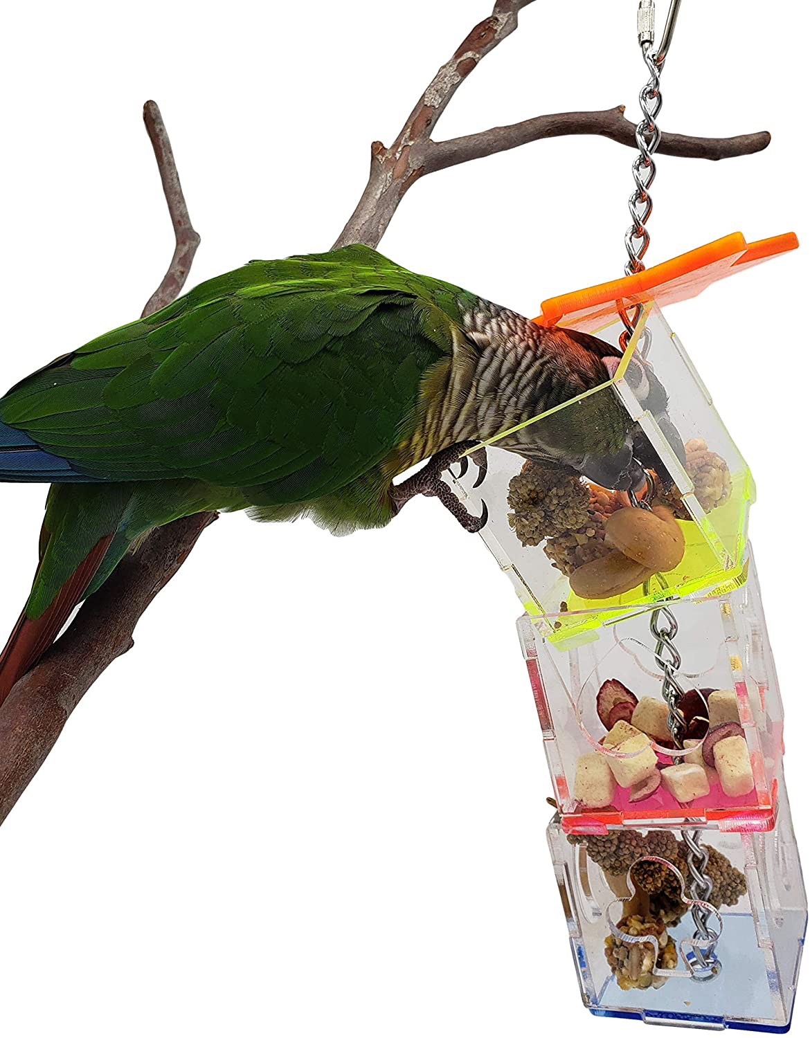 Tropical Chickens Parrot Bird Boredom Buster Forage Box Creative Hanging Treat Foraging Toy Conure Cockatiel for Small Bird Enrichment Transparent Acrylic Food Holder Animals & Pet Supplies > Pet Supplies > Bird Supplies > Bird Toys Tropical Chickens   