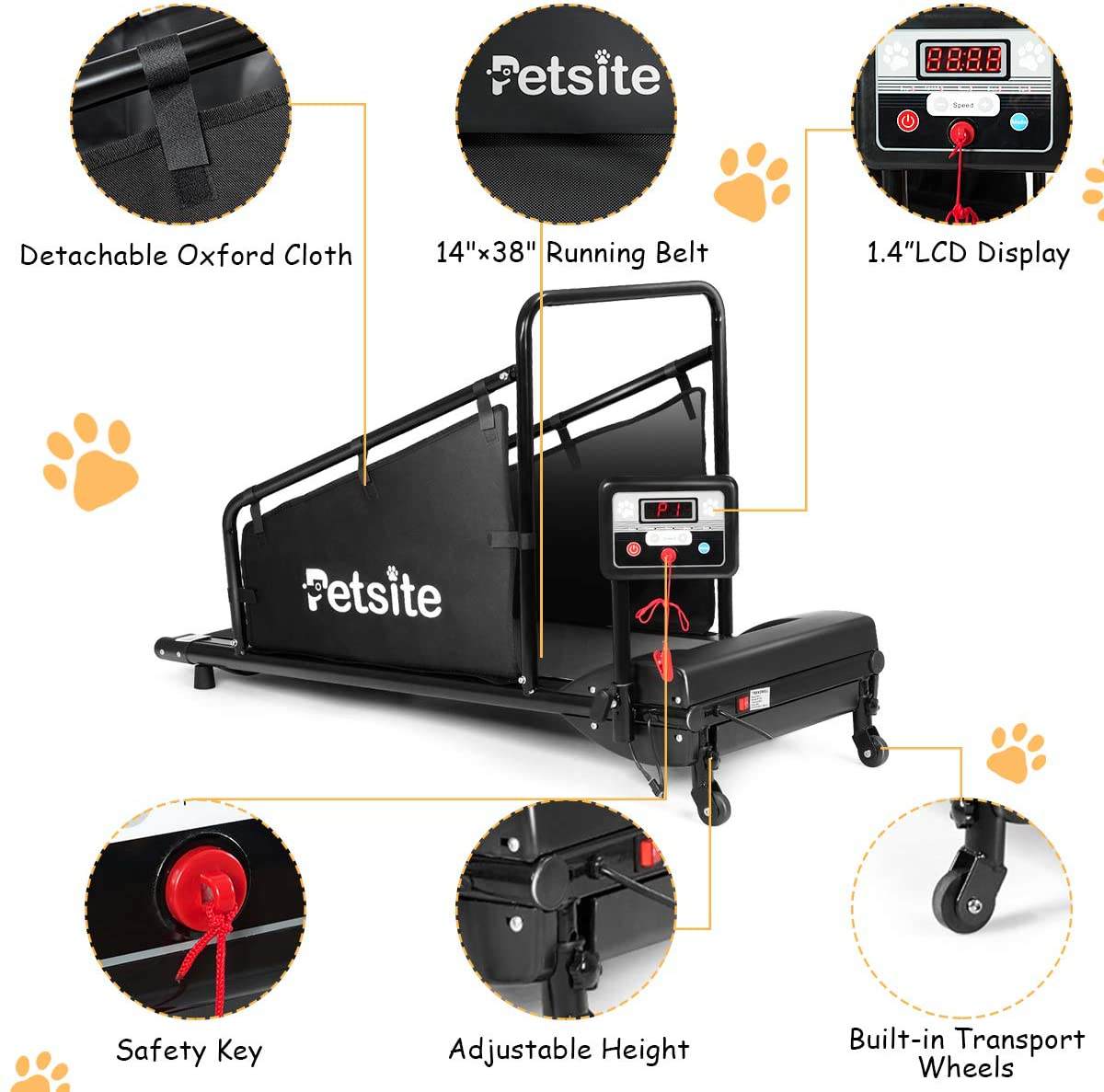 QINTH Dog Treadmill Small Dogs, Pet Dog Running Machine, with Display  Screen, Speed 0.8-12 Km/H, Indoor Exercise Activity, for Large/Medium-Sized  Dogs