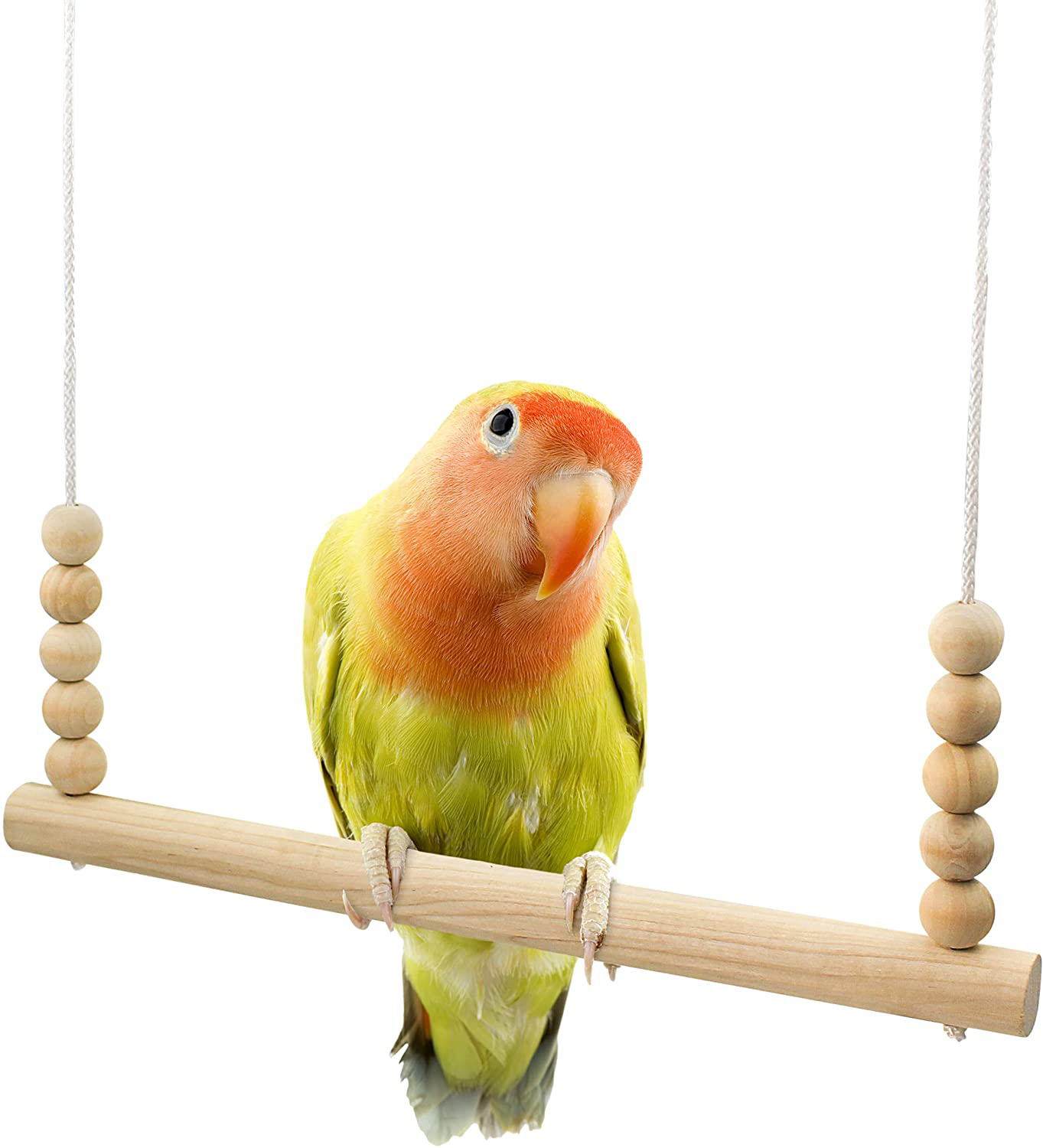 Backyard Barnyard Chicken Swing Toy for Coop (Round Bar) Handmade in USA! Natural Safe Large Wood Perch Ladder for Poultry Run Rooster Hens Chicks Pet Parrots Pollo Stress Relief for Birds Animals & Pet Supplies > Pet Supplies > Bird Supplies > Bird Ladders & Perches Backyard Barnyard   