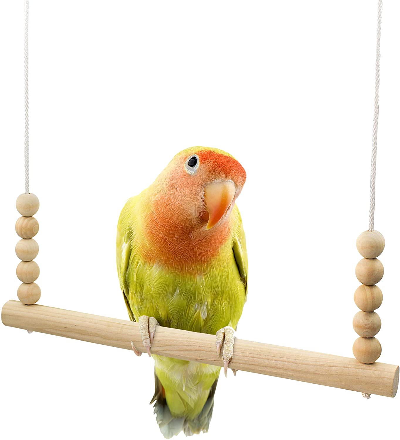 Backyard Barnyard Chicken Swing Toy for Coop (Round Bar) Handmade in USA! Natural Safe Large Wood Perch Ladder for Poultry Run Rooster Hens Chicks Pet Parrots Pollo Stress Relief for Birds
