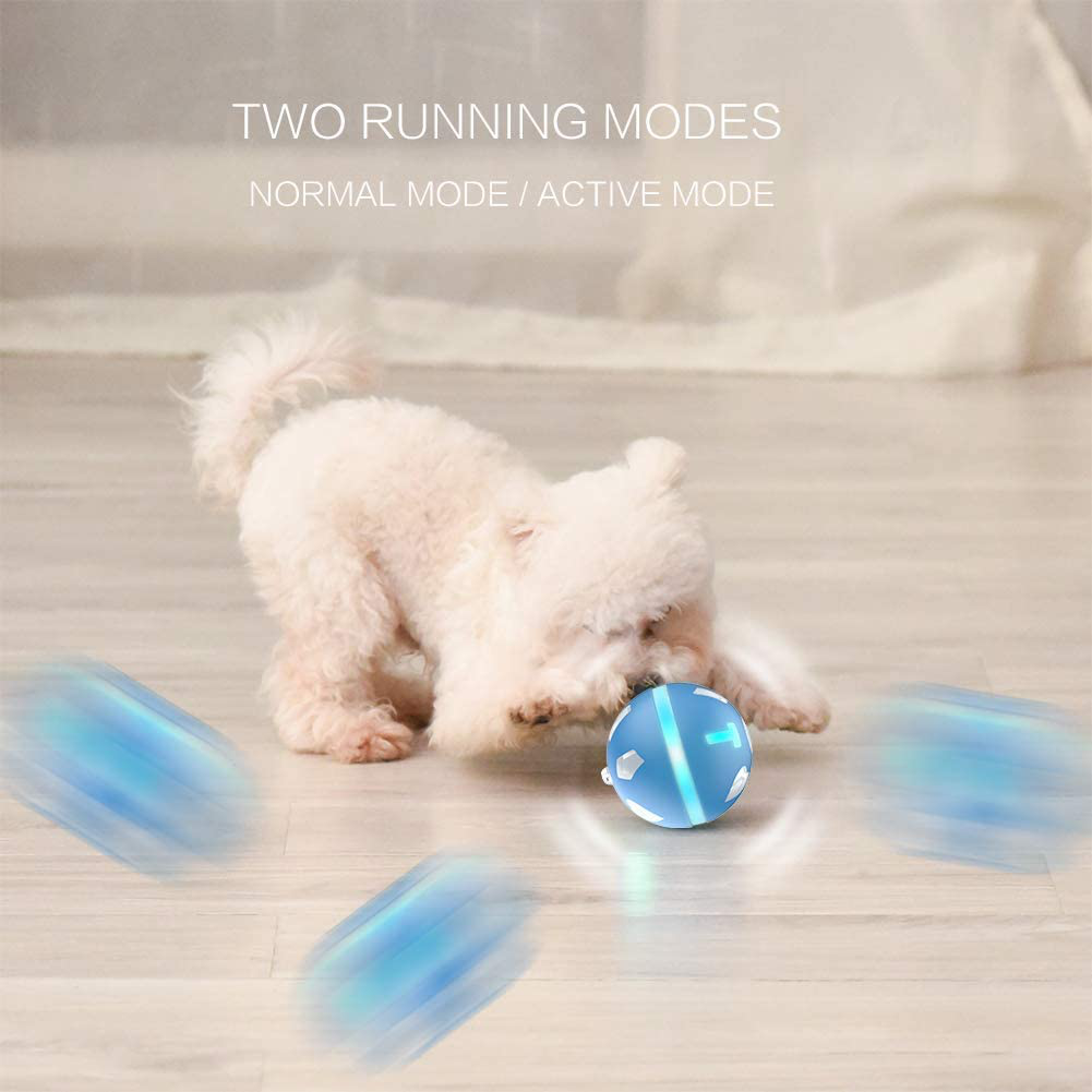 Interactive Dog Toys Ball for Indoor Dogs with Motion Activated