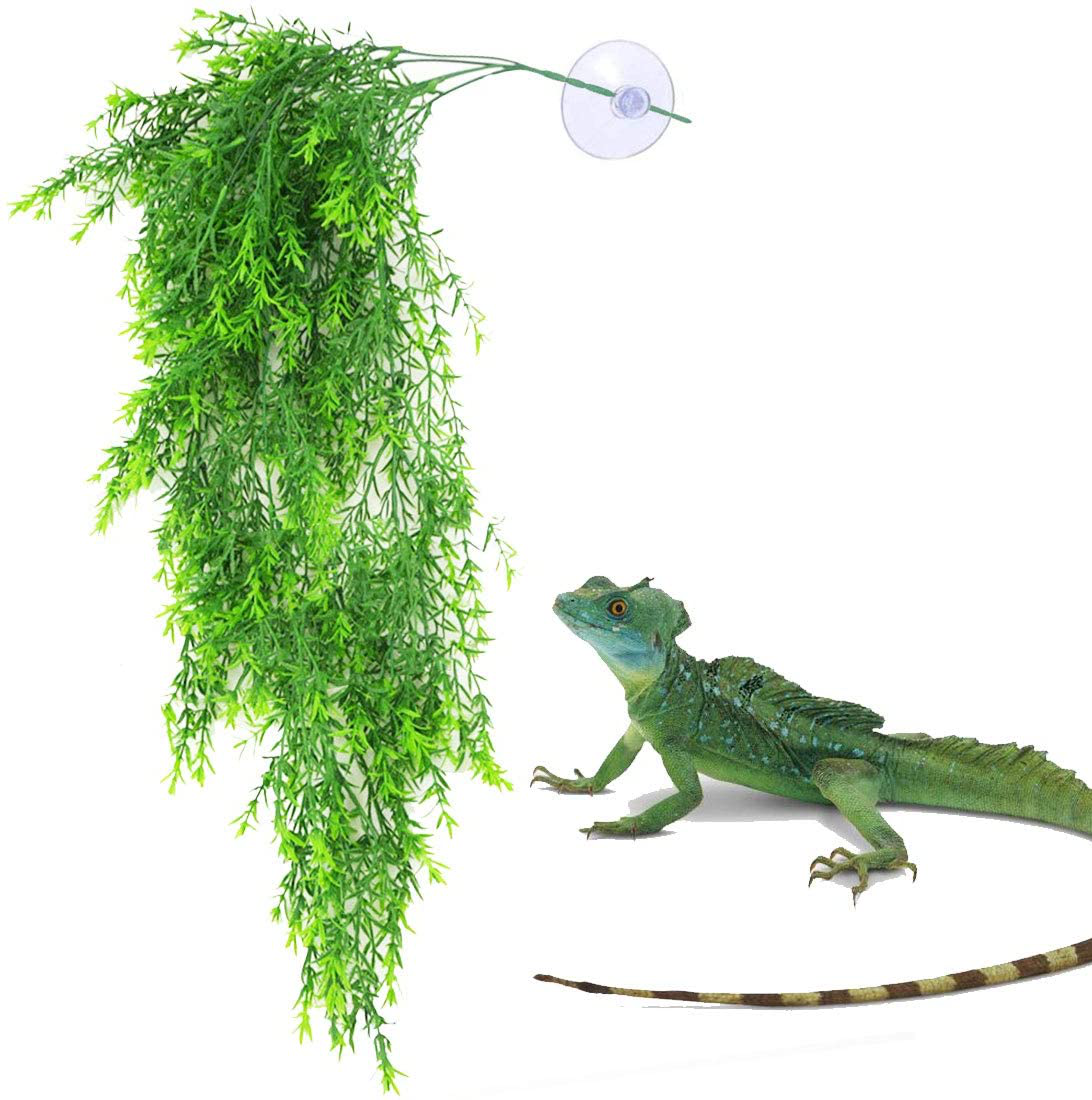 Reptile Plastic Plants Habitat Décor Artificial Fake Leaves Habitat Amphibian Accessories for Bearded Dragons,Lizards,Geckos,Snake Pets and Hermit Crab Tank Habitat Decorations… Animals & Pet Supplies > Pet Supplies > Reptile & Amphibian Supplies > Reptile & Amphibian Habitat Accessories kathson   