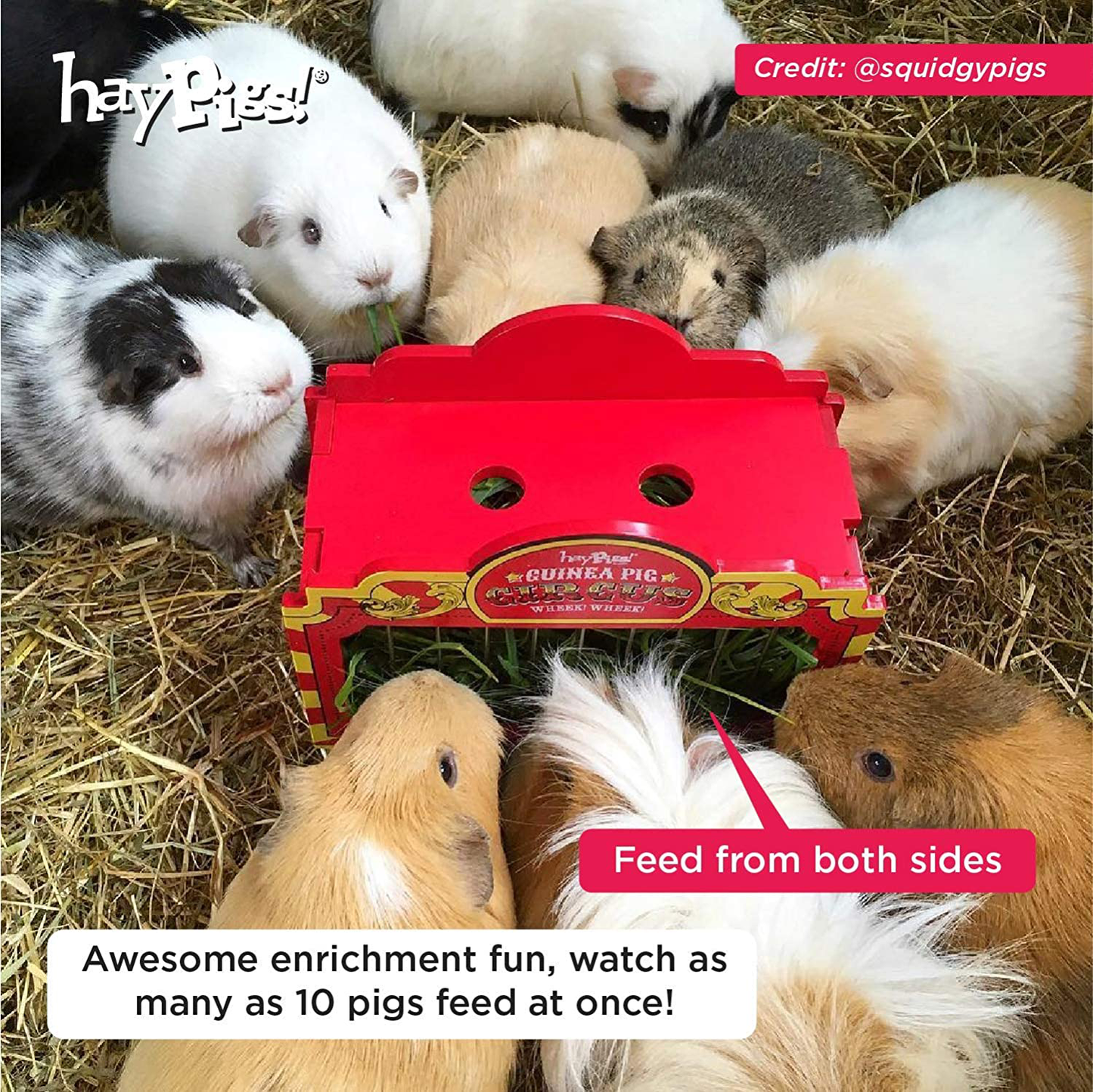 HAYPIGS Guinea Pig Toys and Accessories - Circus Themed Wheek Wagon Hay Hopper - Guinea Pig Hay Rack - Dwarf Rabbit Feeder - Hay Racks for Guinea Pigs - Hay Feeder - Chinchilla Hay Rack Animals & Pet Supplies > Pet Supplies > Small Animal Supplies > Small Animal Food HAYPIGS   