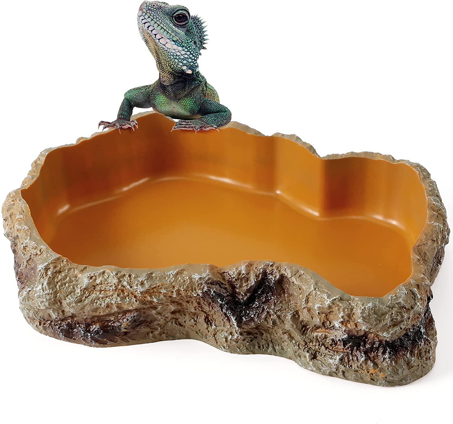 Are crabs online amphibians or reptiles