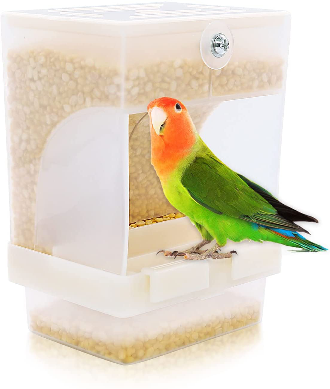 RYPET No-Mess Bird Feeder - Parrot Integrated Automatic Feeder for Small to Medium Birds Animals & Pet Supplies > Pet Supplies > Bird Supplies > Bird Cage Accessories Rypet   