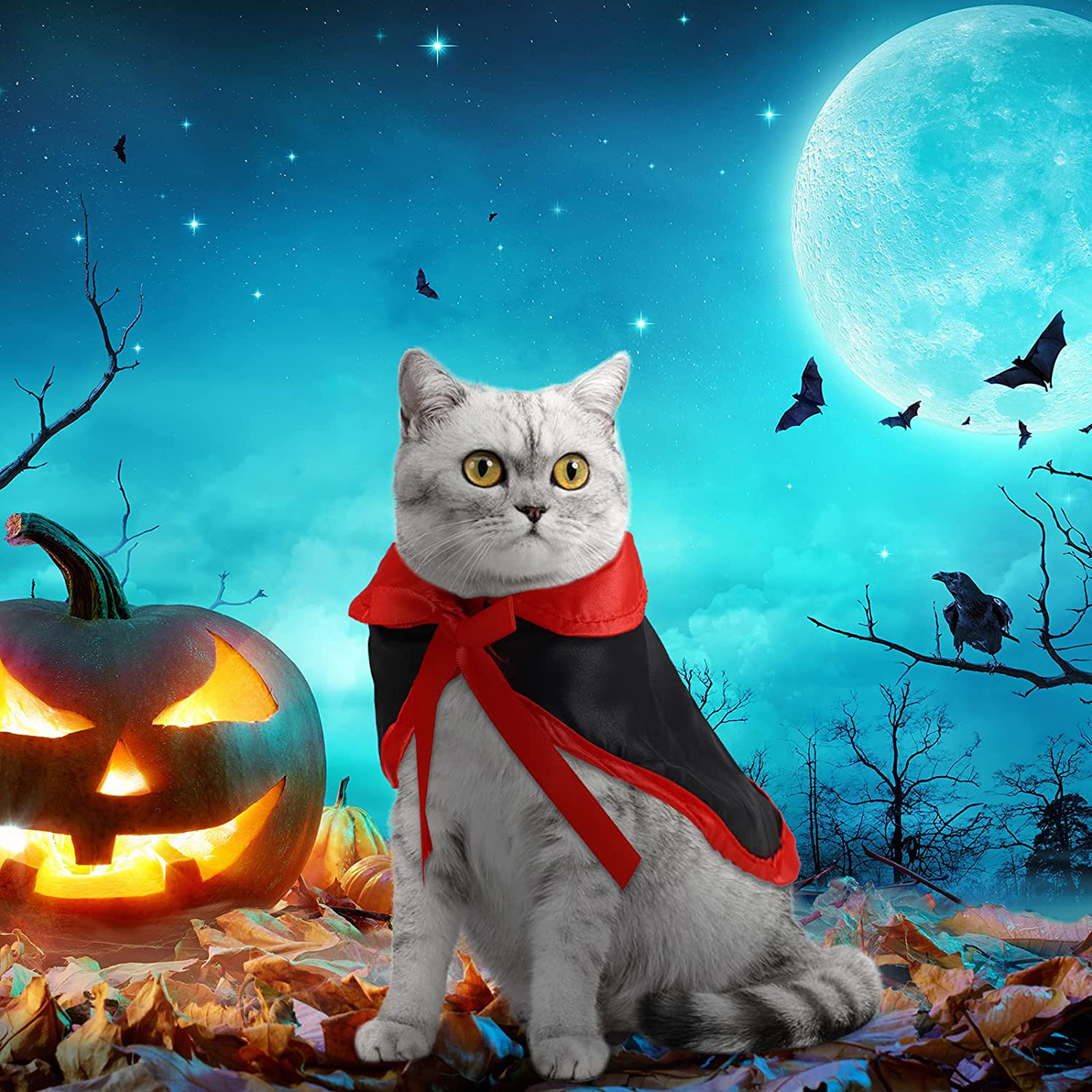 Frienda 4 Pieces Halloween Pet Costume Sets Cat Bat Wing with Bell Halloween Pet Cat Witch Cape Pet Vampire Costume Cloak Cat Witch Hat for Cats Kitten Puppy Cosplay Party Decoration