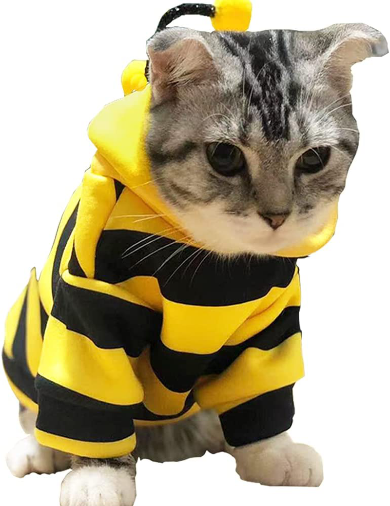Anelekor Pet Bee Halloween Costume Dog Hoodies Cat Holiday Cosplay Warm Clothes Puppy Cute Hooded Coat Christmas Outfits for Cat and Small Dogs Animals & Pet Supplies > Pet Supplies > Cat Supplies > Cat Apparel Anelekor Yellow Large 