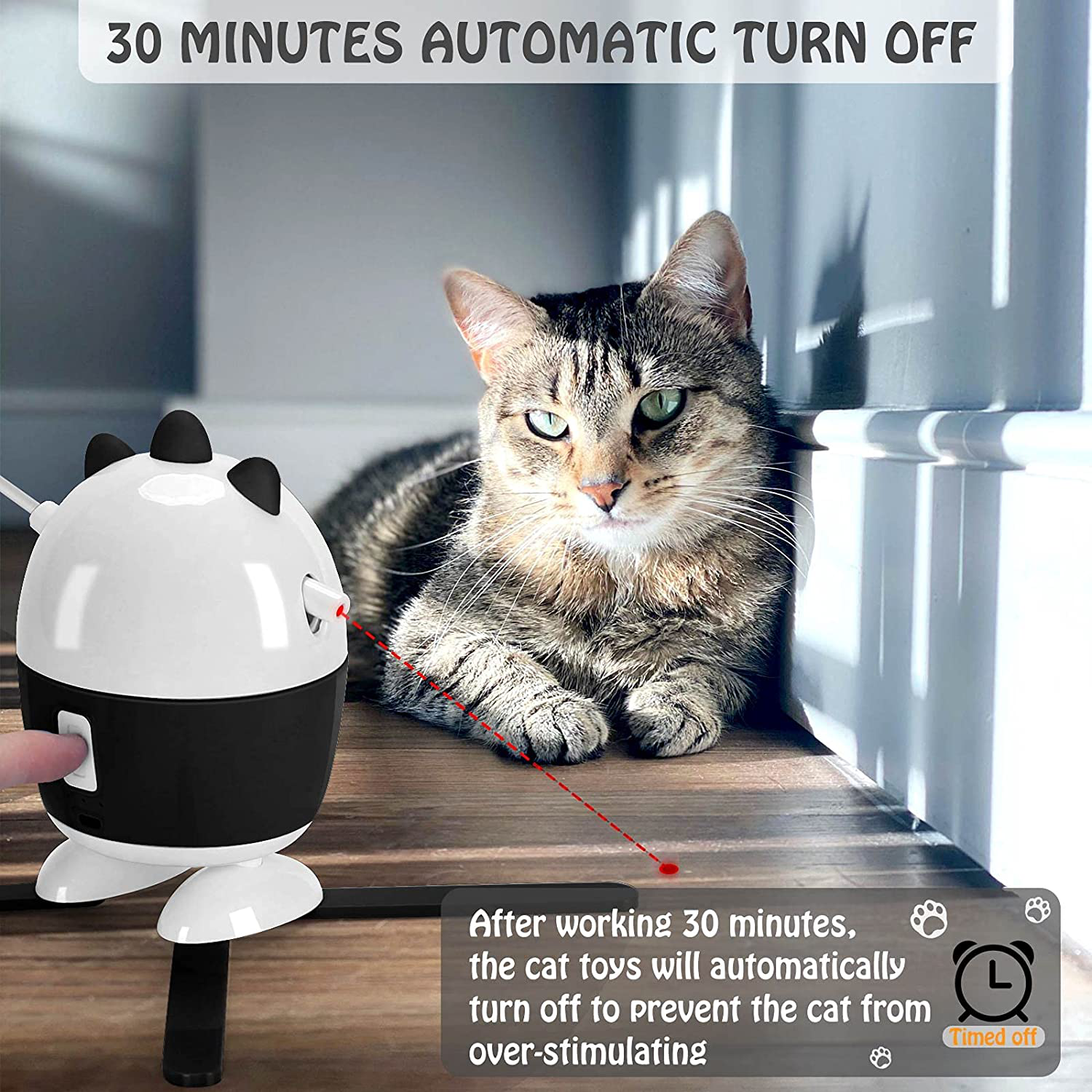 Cat Toys Interactive Cat Laser Toy Cat Feather Toys 2 in 1