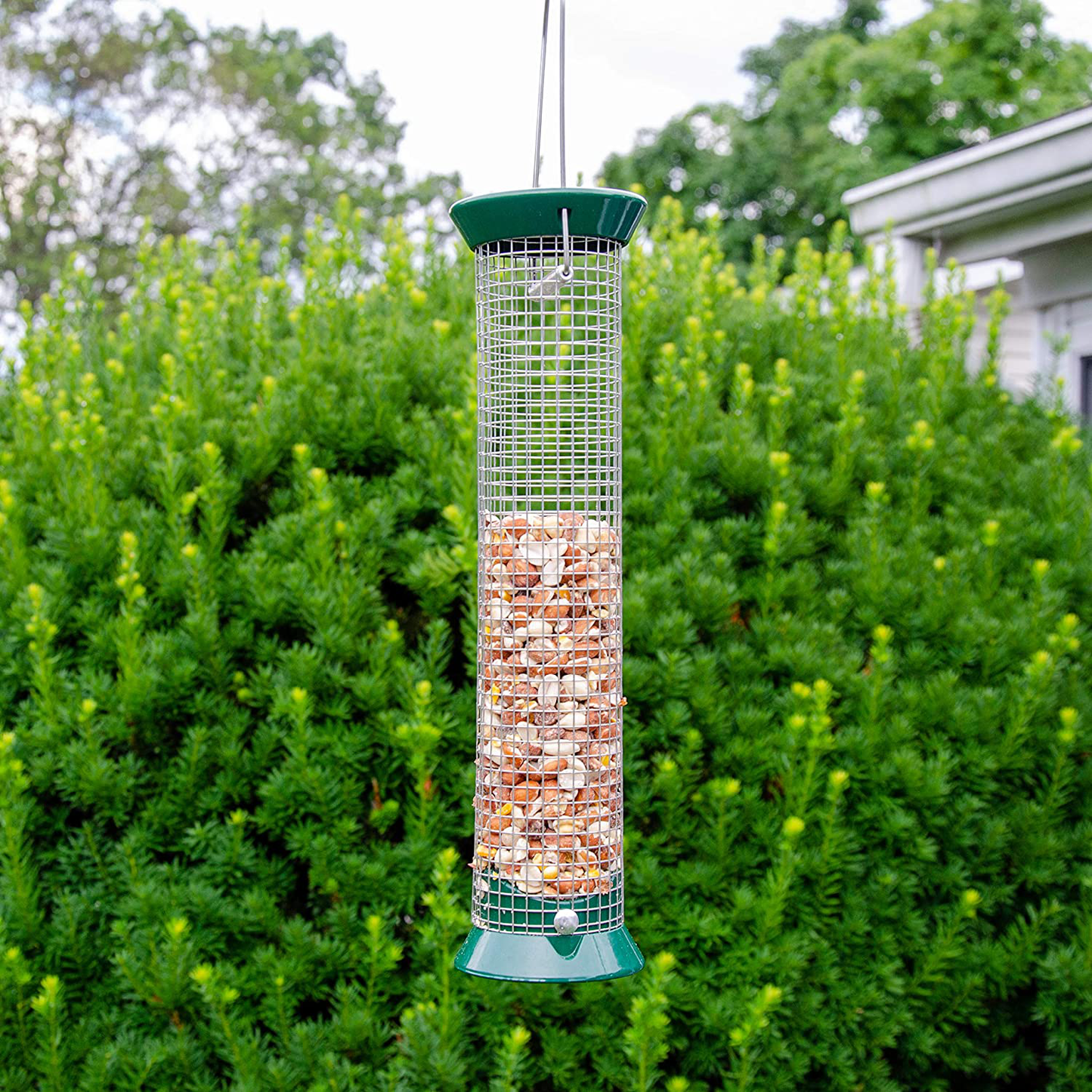 Lyric 2647472 Woodpecker No Waste Mix, 20 Lb Animals & Pet Supplies > Pet Supplies > Bird Supplies > Bird Food Lyric   