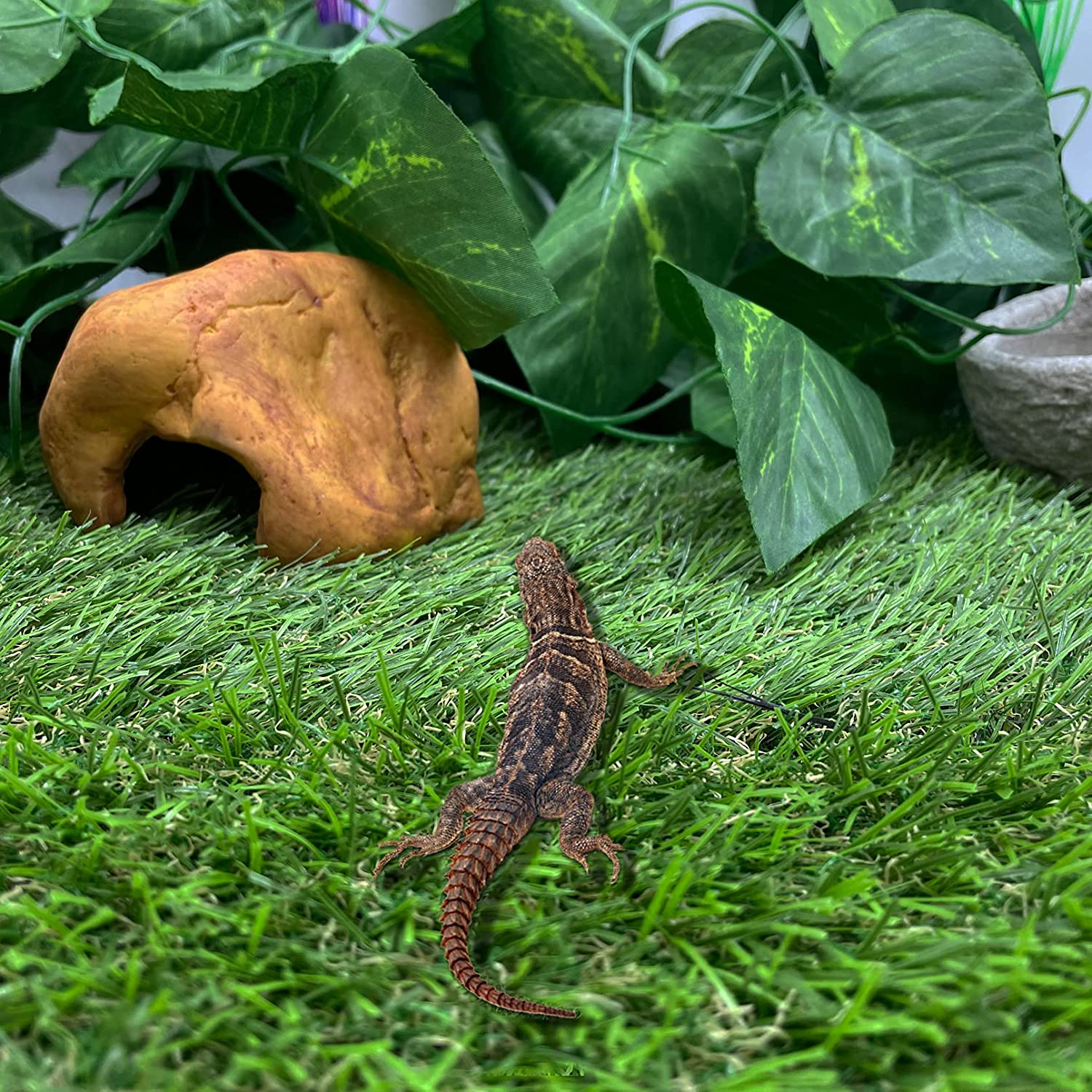 Hamiledyi Lizard Cave Reptile Escaping Hide Habitat Decor Resin Rock Hideaway for Terrarium Aquarium Gecko Spiders Snakes Frogs Tortoise Reptile Amphibian Fish Other Small Animals 3 Pcs Animals & Pet Supplies > Pet Supplies > Reptile & Amphibian Supplies > Reptile & Amphibian Habitat Accessories Hamiledyi   