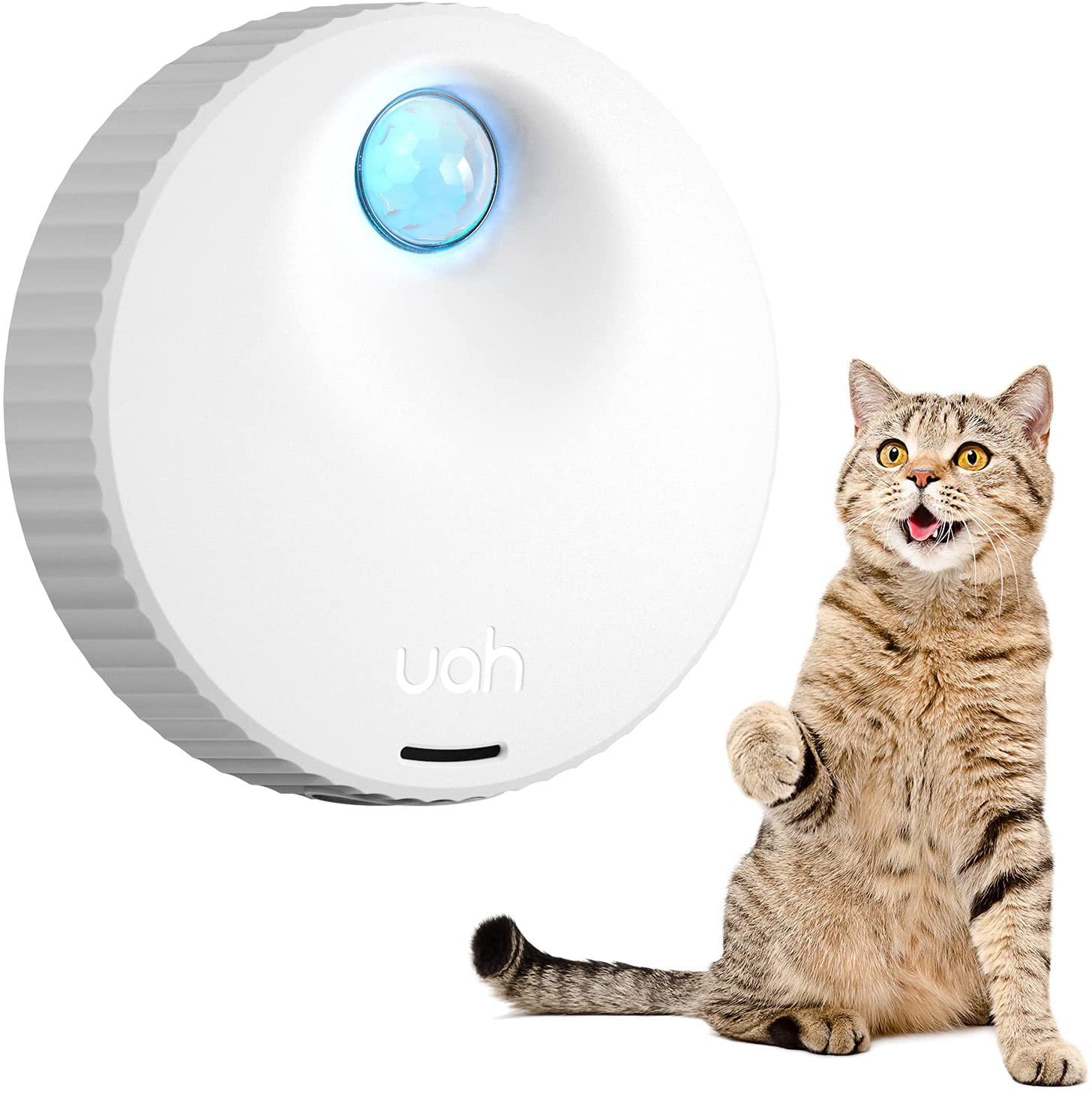 Diy litter box sales deodorizer