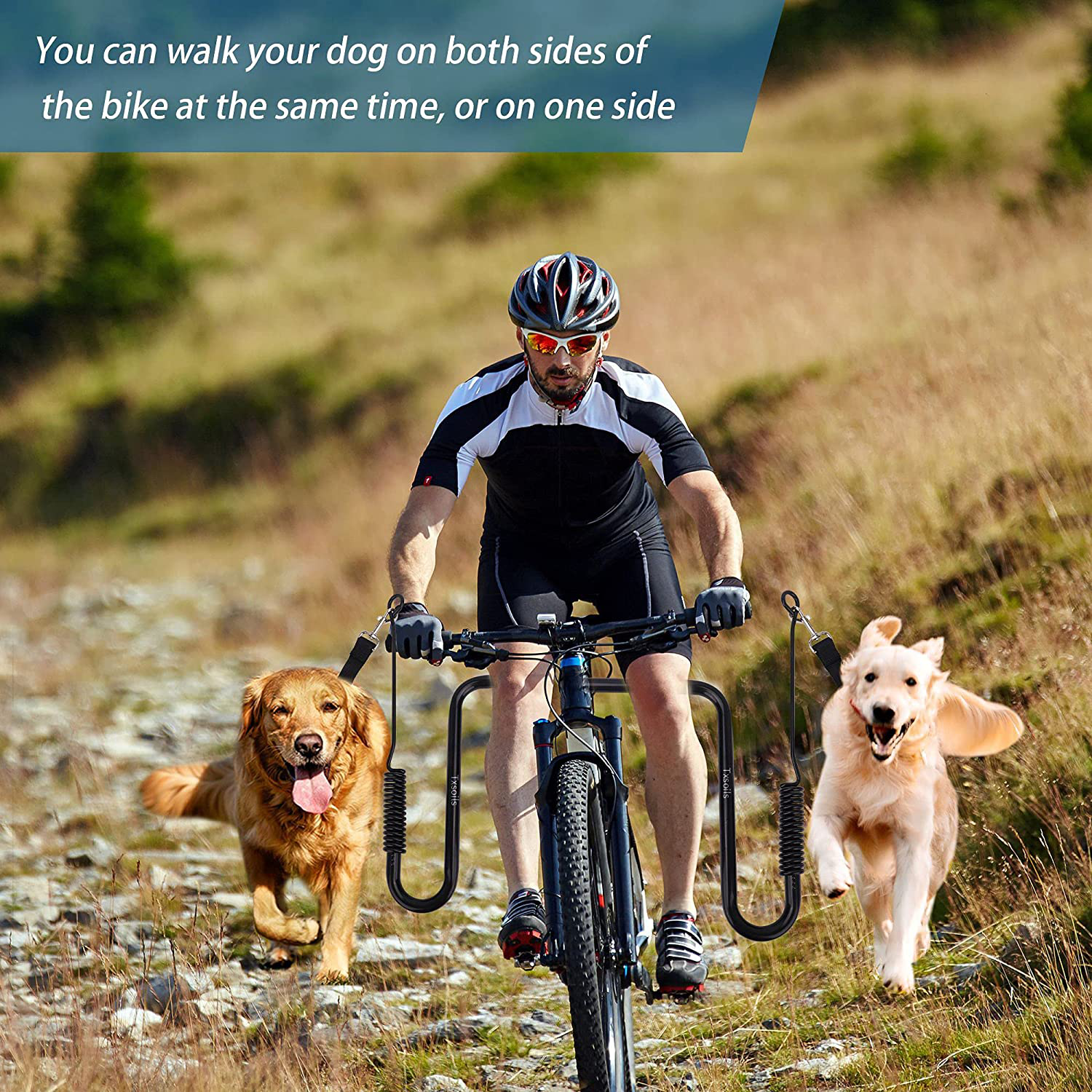 Dog bike riding 2024 attachment