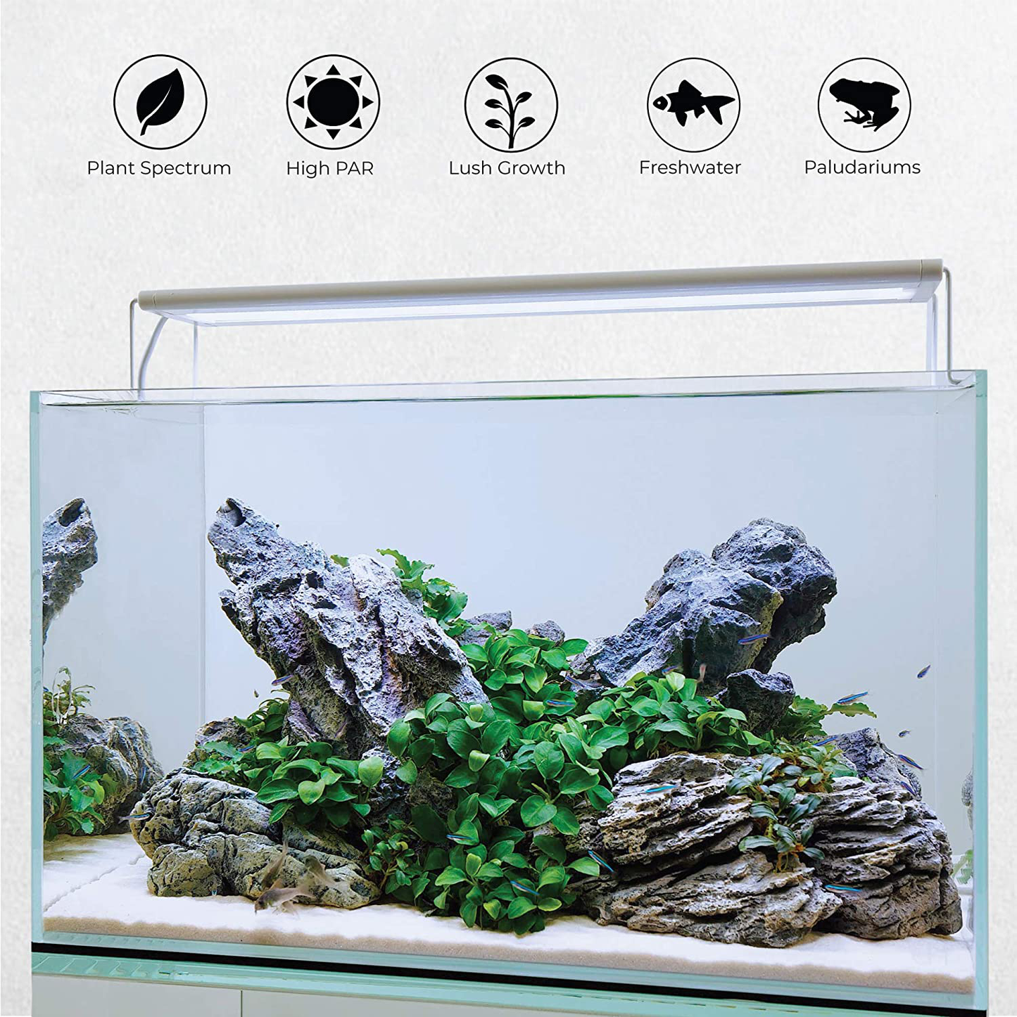 CURRENT USA Serenesun LE PRO Freshwater Plant Aquarium LED Light with 24 Hour Timer Control | High Output Full Spectrum with 460Nm Red | Wireless Remote | Tall Fish Tank Brackets