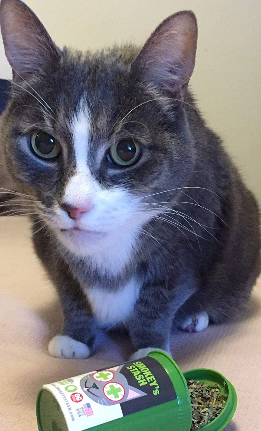 Smokey'S Stash Cat Catnip Spray and Dried Organic Catnip Combo Maximum Potency Cat Nip Bundle