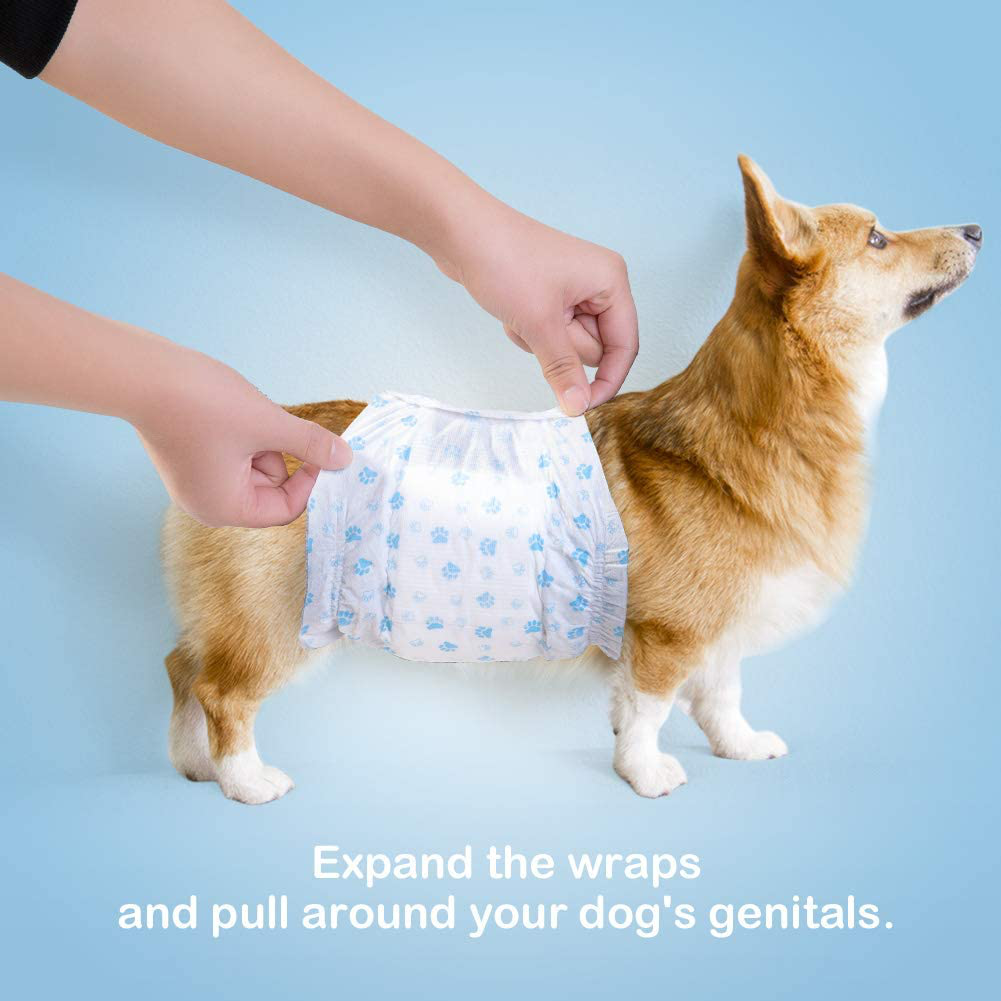 Pet Soft Disposable Dog Wraps - Disposable Male Dog Diapers for Male Puppy Doggy Marking Incontinent 12-72 Counts Animals & Pet Supplies > Pet Supplies > Dog Supplies > Dog Diaper Pads & Liners Pet Soft   