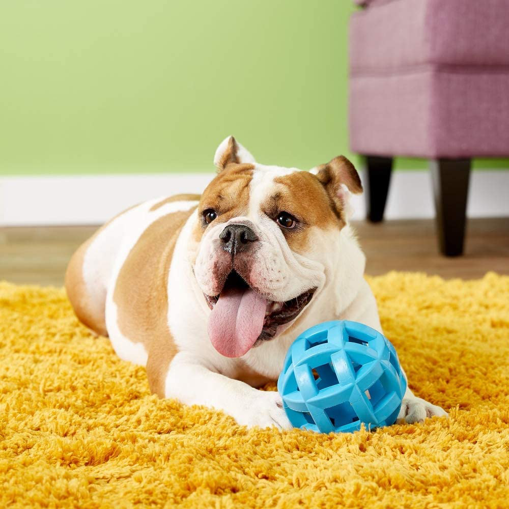 JW Hol-Ee Roller Dog Fetch Treat Dispenser Puzzle Ball Animals & Pet Supplies > Pet Supplies > Dog Supplies > Dog Toys JW Pet Company   