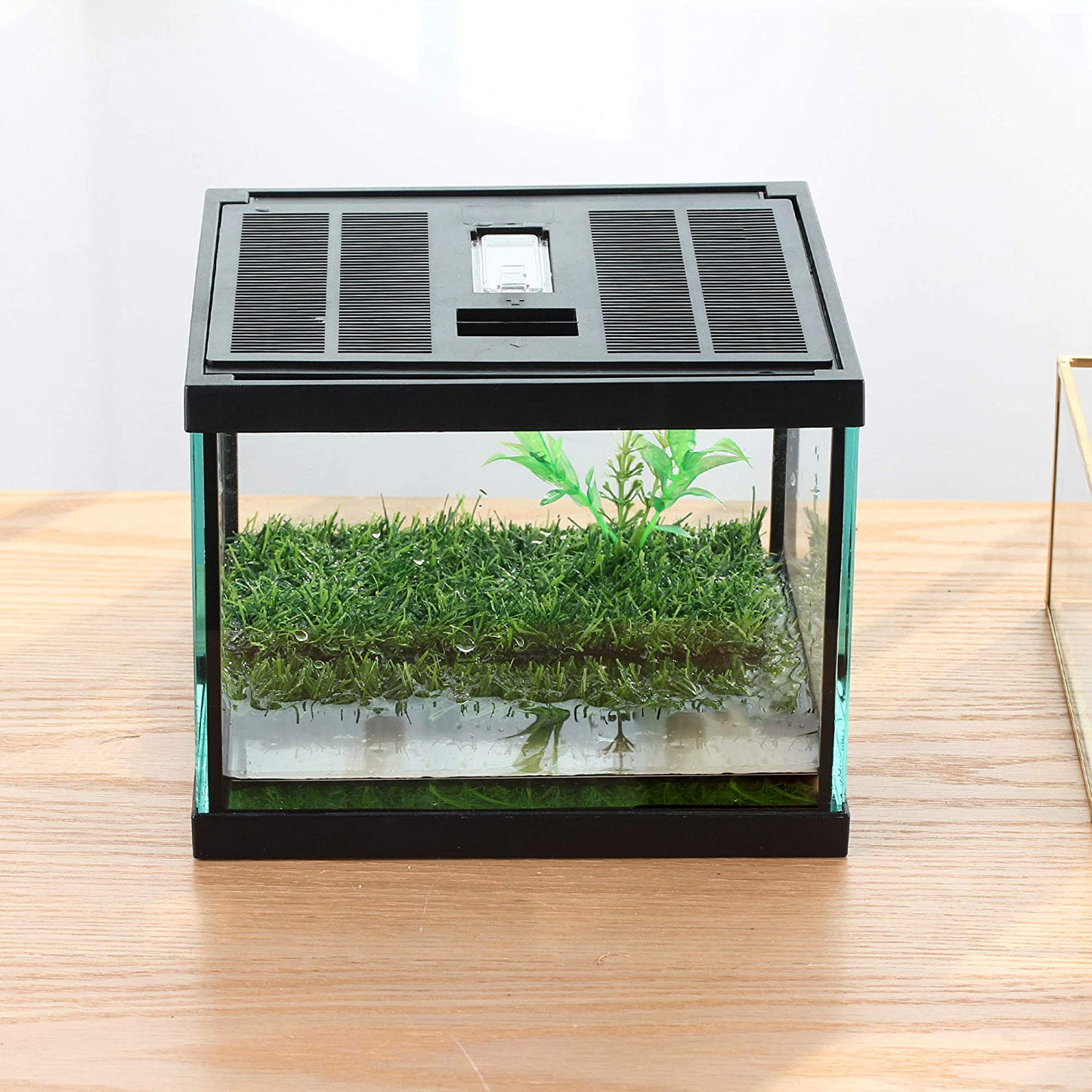 Crapelles Pac Frogs Glass Terrarium Feeding Kit Tank, Waterproof,For Small Amphibians, Insect, Horned Frogs. Waterweed / Prairie Style Habitat,With Green Artificial Turf Pad, (Excluding Animals) Animals & Pet Supplies > Pet Supplies > Reptile & Amphibian Supplies > Reptile & Amphibian Substrates crapelles   