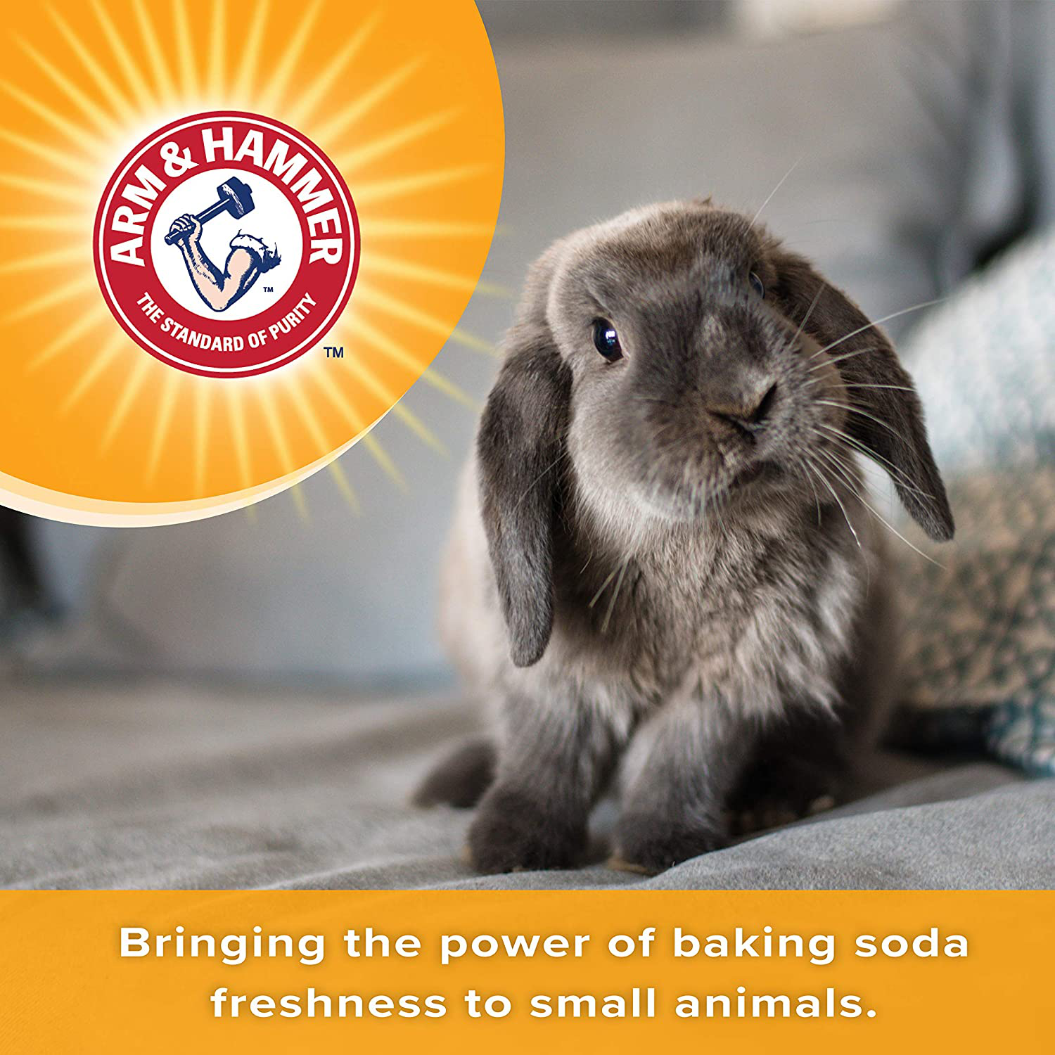 Arm & Hammer for Pets Natural Paper Bedding for Guinea Pigs, Hamsters, Rabbits & All Small Animals-Expandable Paper Bedding for Small Animals-Hamster Bedding, Guinea Pig Bedding, Bedding for Rabbits