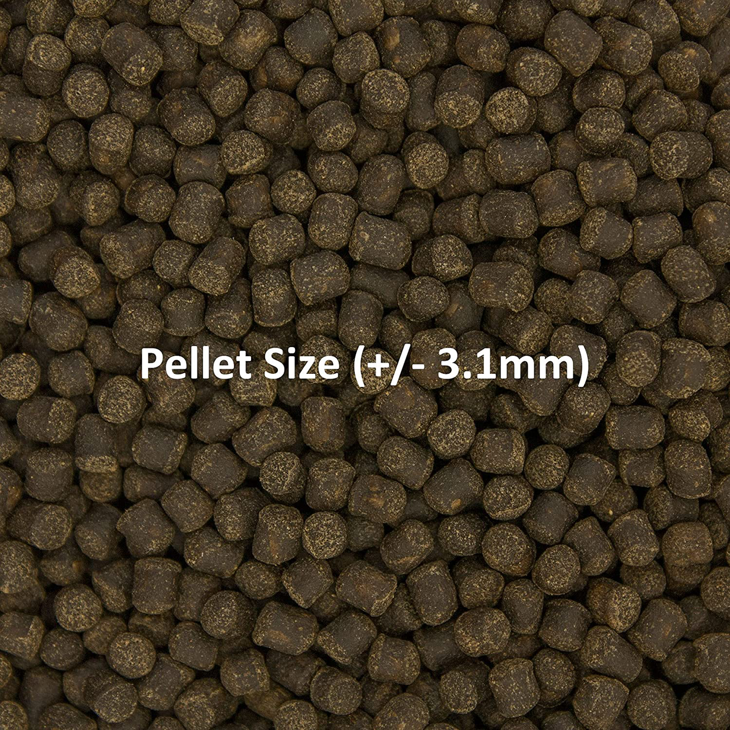 Ocean Nutrition Cichlid Vegi Pellets Animals & Pet Supplies > Pet Supplies > Reptile & Amphibian Supplies > Reptile & Amphibian Food Ocean Nutrition   