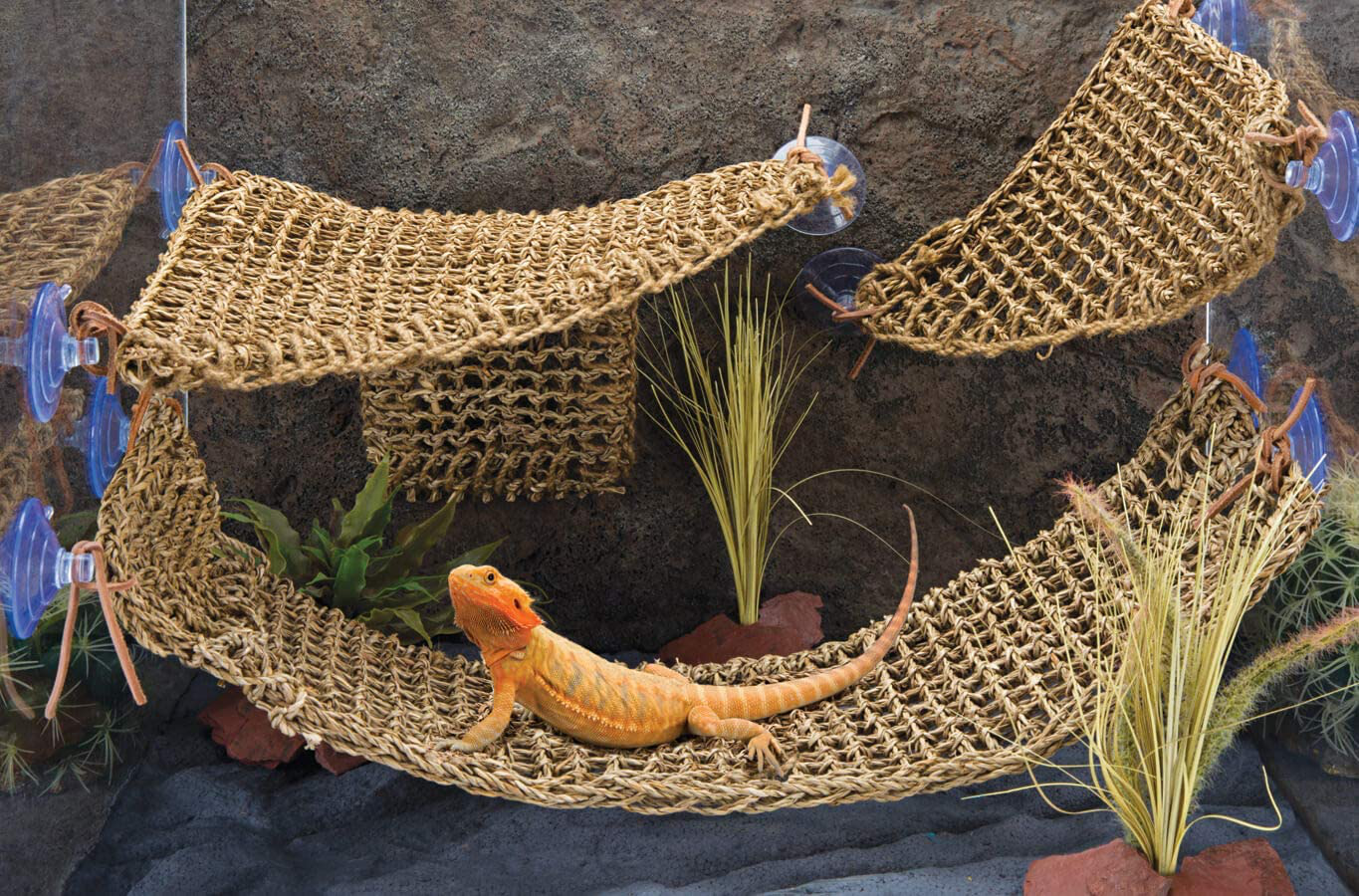 Penn-Plax Reptology Lizard Loungers – 100% Natural Seagrass Fiber – Great for Bearded Dragons, Anoles, Geckos, and Other Reptiles – 6 Sizes & Styles Available