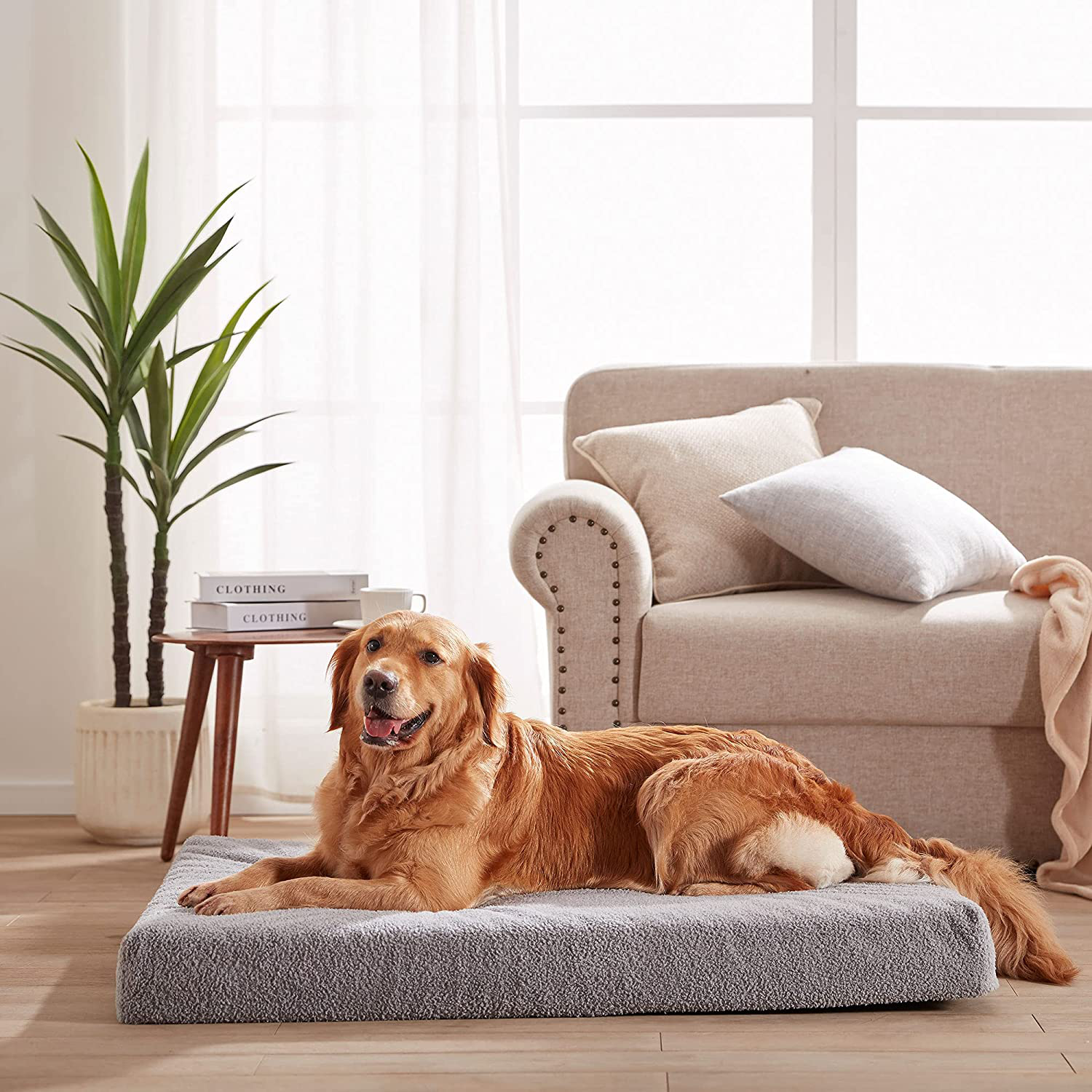 PETABBY Memory Foam Orthopedic Dog Bed Large, Waterproof Dog Bed Mattress with Removale Washable Cover and Waterproof Liner for Medium Large Dog Animals & Pet Supplies > Pet Supplies > Dog Supplies > Dog Beds PETABBY   