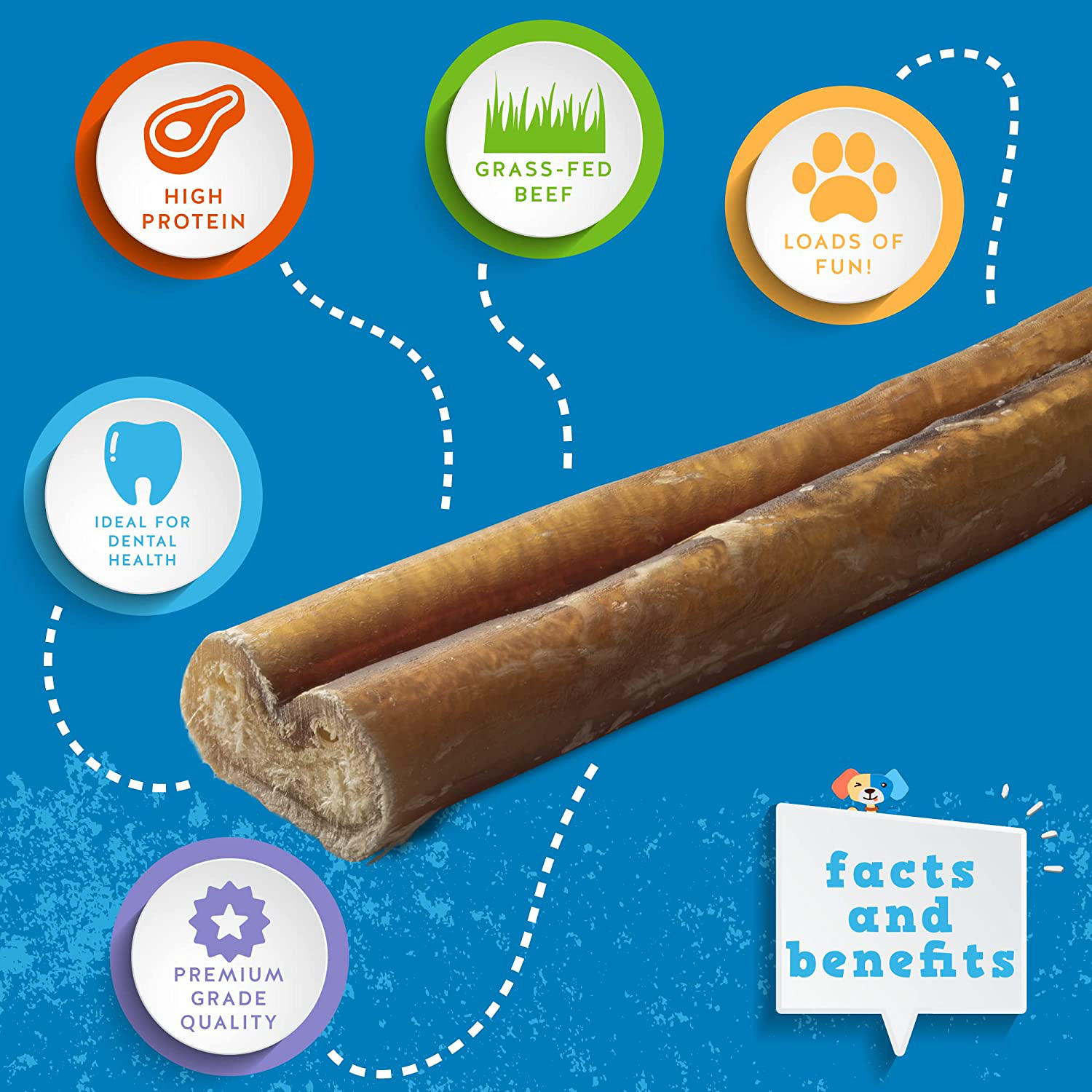 Jack&Pup 12-Inch Premium Grade Odor Free Bully Sticks Dog Treats [Thick-Size] - 12" Long All Natural Gourmet Chews Dog Treat – Fresh and Savory Beef Flavor – 30% Longer Lasting (3 Piece Pack) Animals & Pet Supplies > Pet Supplies > Dog Supplies > Dog Treats Jack & Pup   