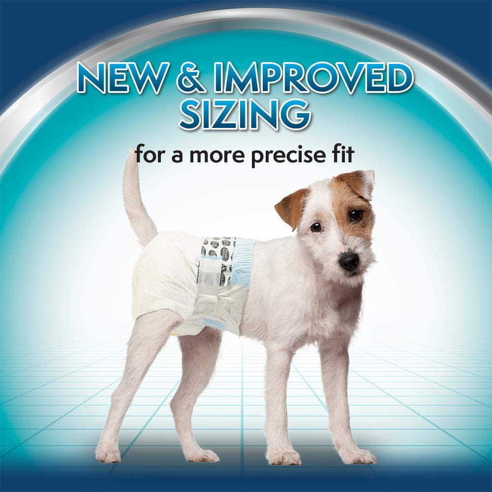 Simple Solution Disposable Dog Diapers for Female Dogs | Super Absorbent Leak-Proof Fit