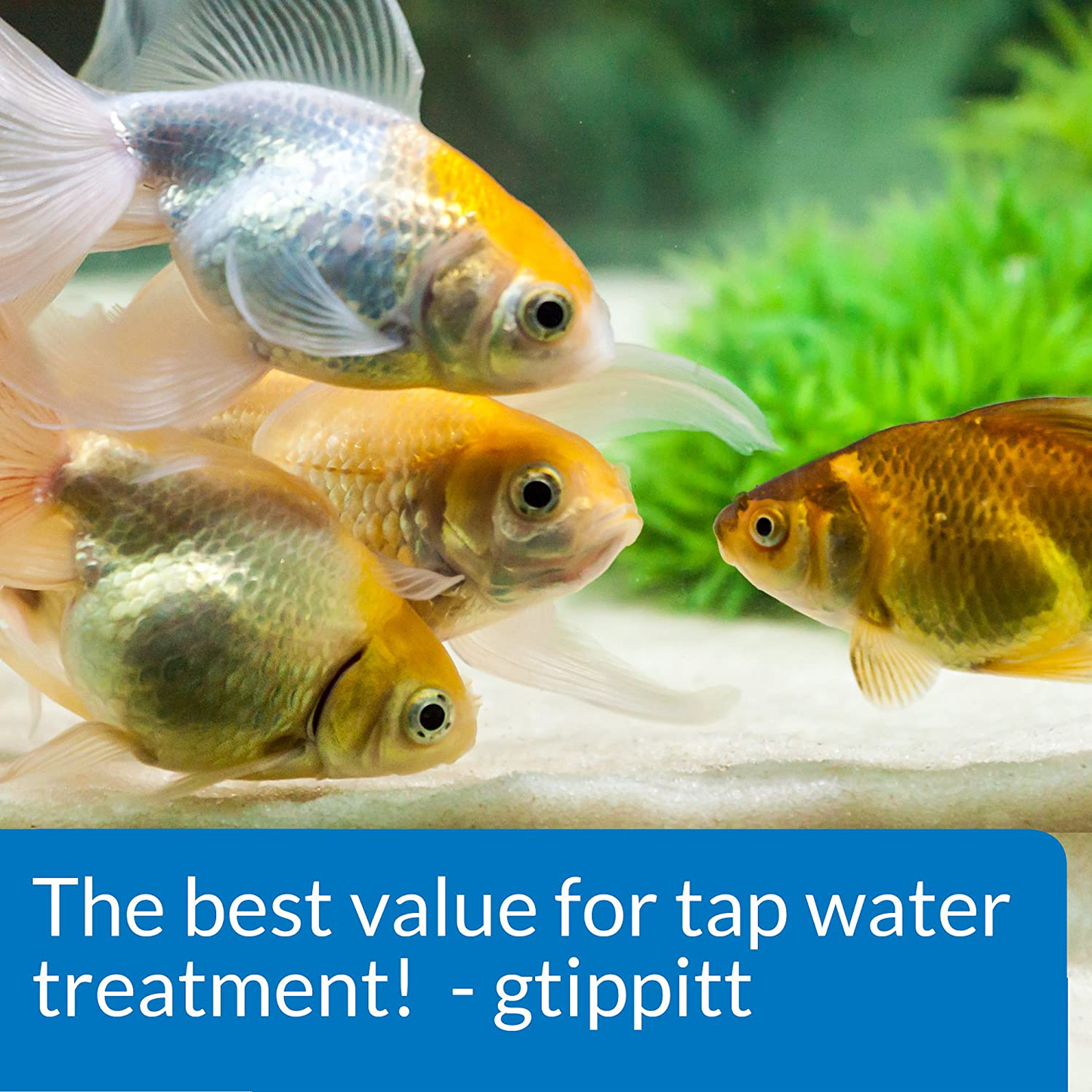 API TAP Water Conditioner, Instantly Neutralizes Chlorine, Chloramines and Other Chemicals to Make Tap Water Safe for Fish, Highly Concentrated, Use When Adding or Changing Water and When Adding Fish Animals & Pet Supplies > Pet Supplies > Fish Supplies > Aquarium Cleaning Supplies API   