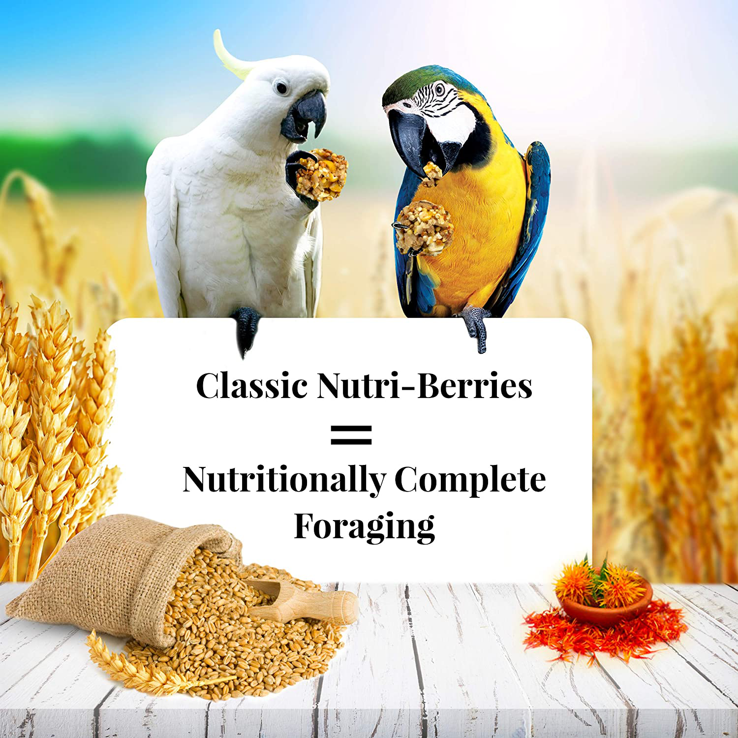 Lafeber'S Classic Nutri-Berries for Macaw / Cockatoo 3.5 Lb. Tub Animals & Pet Supplies > Pet Supplies > Bird Supplies > Bird Food LAFEBER'S   