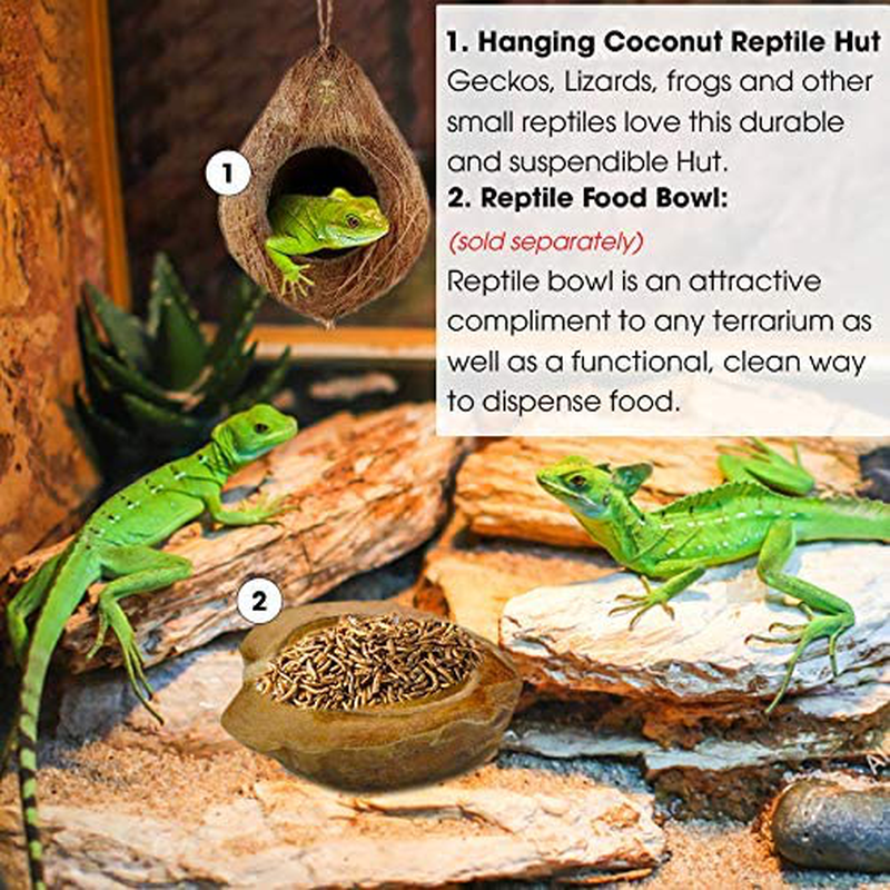 Crested Gecko Coco Hut, Treat & Food Dispenser, Climbing Porch, Hiding, 4.5” round Coconut Shell with 2.5” Opening, Ideal for Reptiles, Amphibians Animals & Pet Supplies > Pet Supplies > Reptile & Amphibian Supplies > Reptile & Amphibian Habitats SunGrow   
