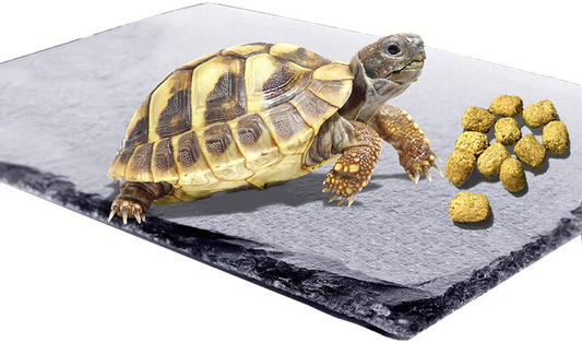 Reptile Basking Platform Tortoise Rock Plate Turtle Bathing Area Feeding Food Dish Resting Terrace Animals & Pet Supplies > Pet Supplies > Reptile & Amphibian Supplies > Reptile & Amphibian Substrates kathson 1PCS  