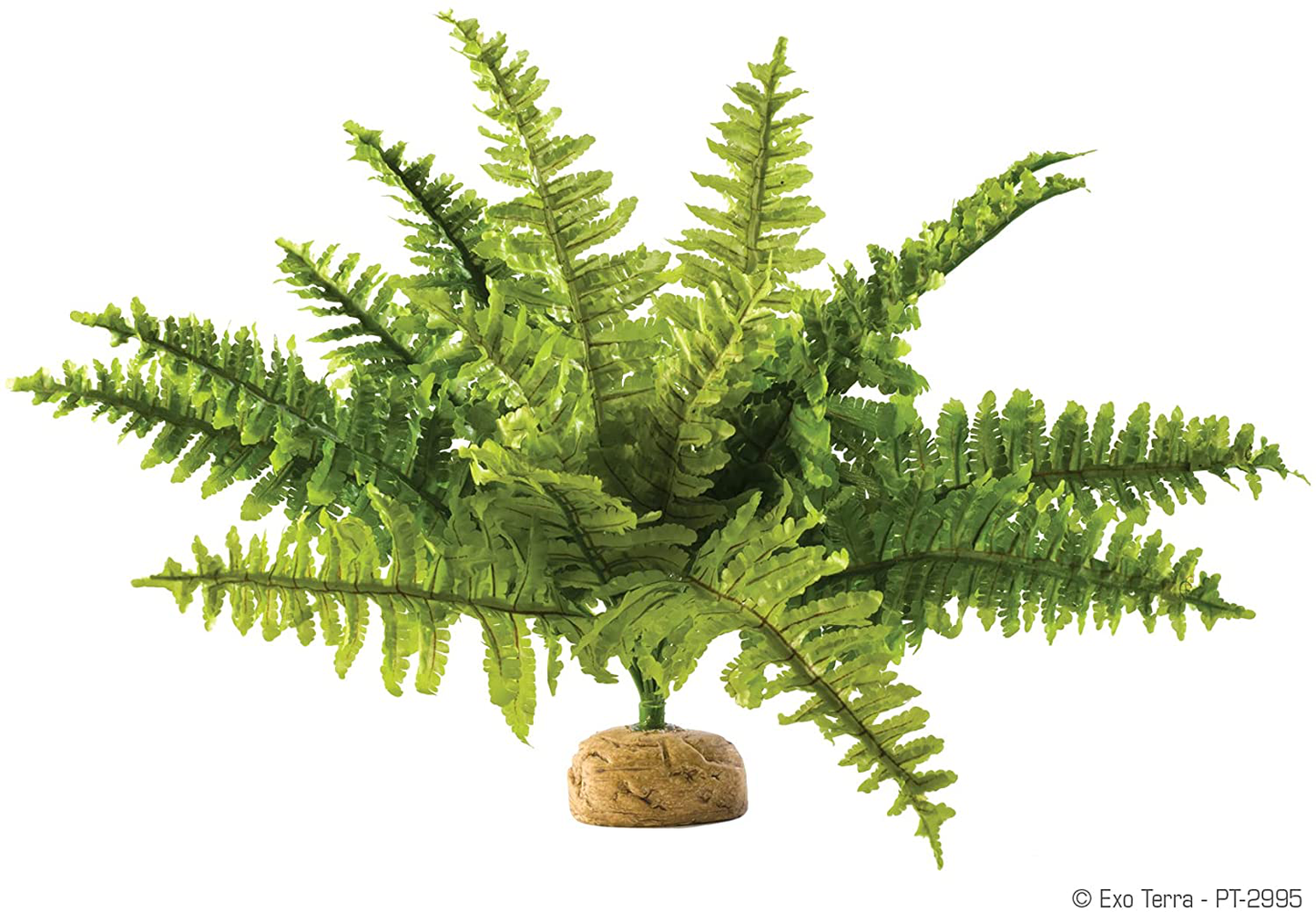 Exo Terra Rainforest Ground Plant, Reptile Terrarium Decoration Animals & Pet Supplies > Pet Supplies > Reptile & Amphibian Supplies > Reptile & Amphibian Habitat Accessories Exo Terra   