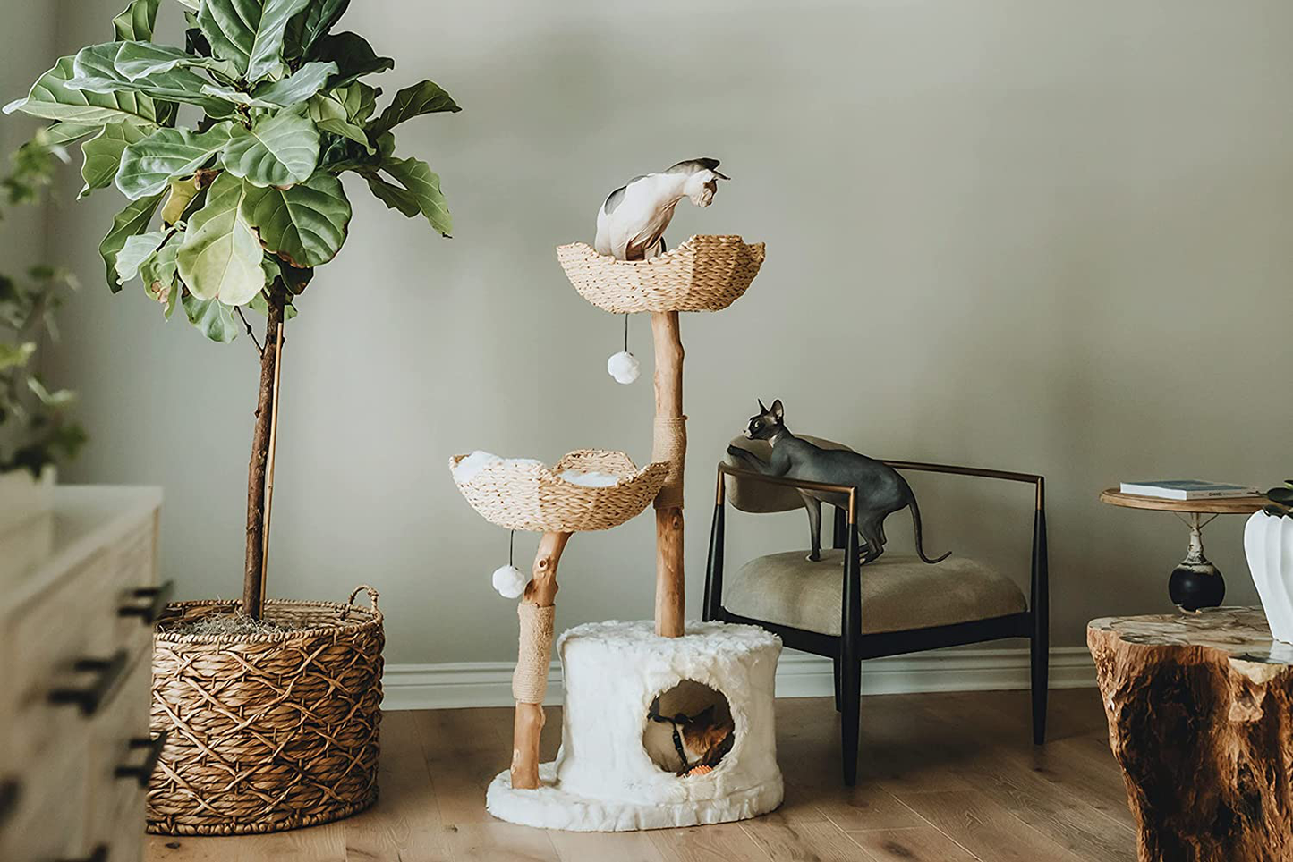 Modern Cat Tree Tower, Real Branch Luxury Cat Condo, Wood Cat Tower, Cat Scratching Tree, Cat Condo, Cat Lover Gift, Luxury Cat, Cat Gifts by Mau Lifestyle Animals & Pet Supplies > Pet Supplies > Cat Supplies > Cat Furniture Mau Lifestyle   