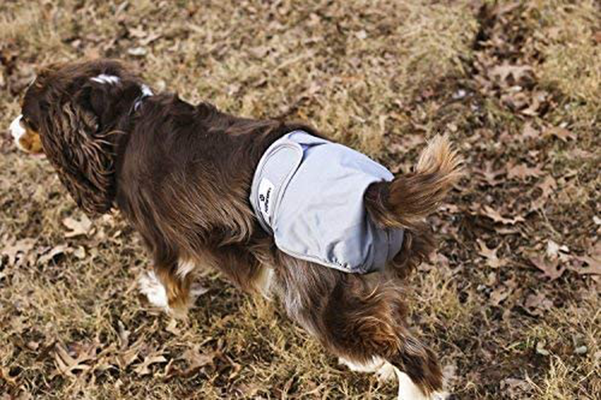 Pet Parents Washable Dog Diapers (3Pack) of Durable Doggie Diapers, Premium Male & Female Dog Diapers Animals & Pet Supplies > Pet Supplies > Dog Supplies > Dog Diaper Pads & Liners Pet Parents   