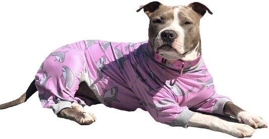 Tooth and Honey Pitbull Pajamas/Pink Shark Print Dog Onesie Jumpsuit/Lightweight Pullover Pajamas/Full Coverage Dog Pjs/Pink Color with Grey Trim Animals & Pet Supplies > Pet Supplies > Dog Supplies > Dog Apparel Tooth & Honey Medium  