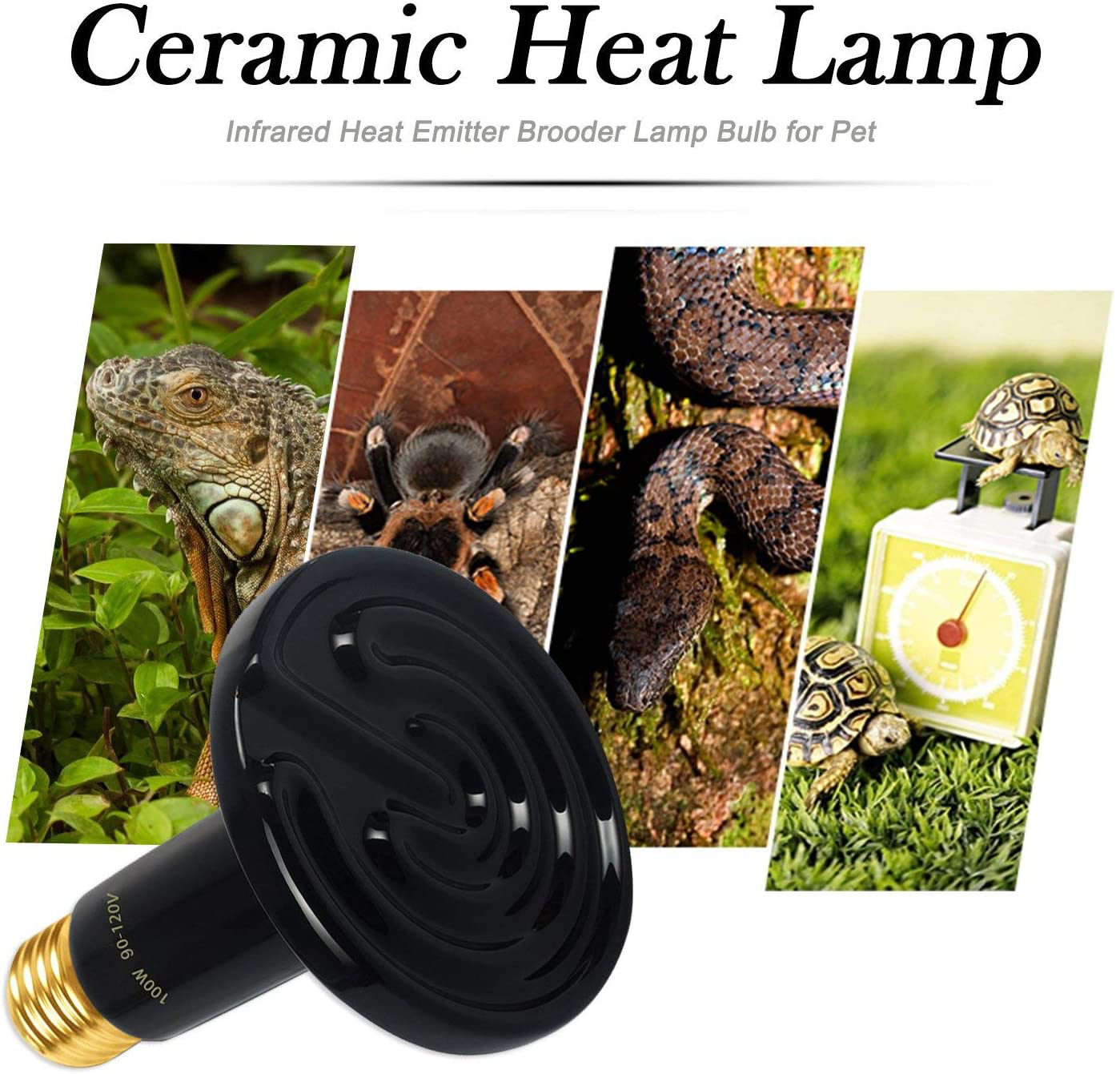 OMAYKEY 100W 2 Pack Ceramic Heat Lamp with 1-Pcs Digital-Thermometer, Infrared Reptile Heat Emitter Heater Lamp Bulbs for Pet Brooder Coop Chicken Lizard Snake Aquarium, No Light No Harm (ETL Listed) Animals & Pet Supplies > Pet Supplies > Reptile & Amphibian Supplies > Reptile & Amphibian Habitat Heating & Lighting OMAYKEY   