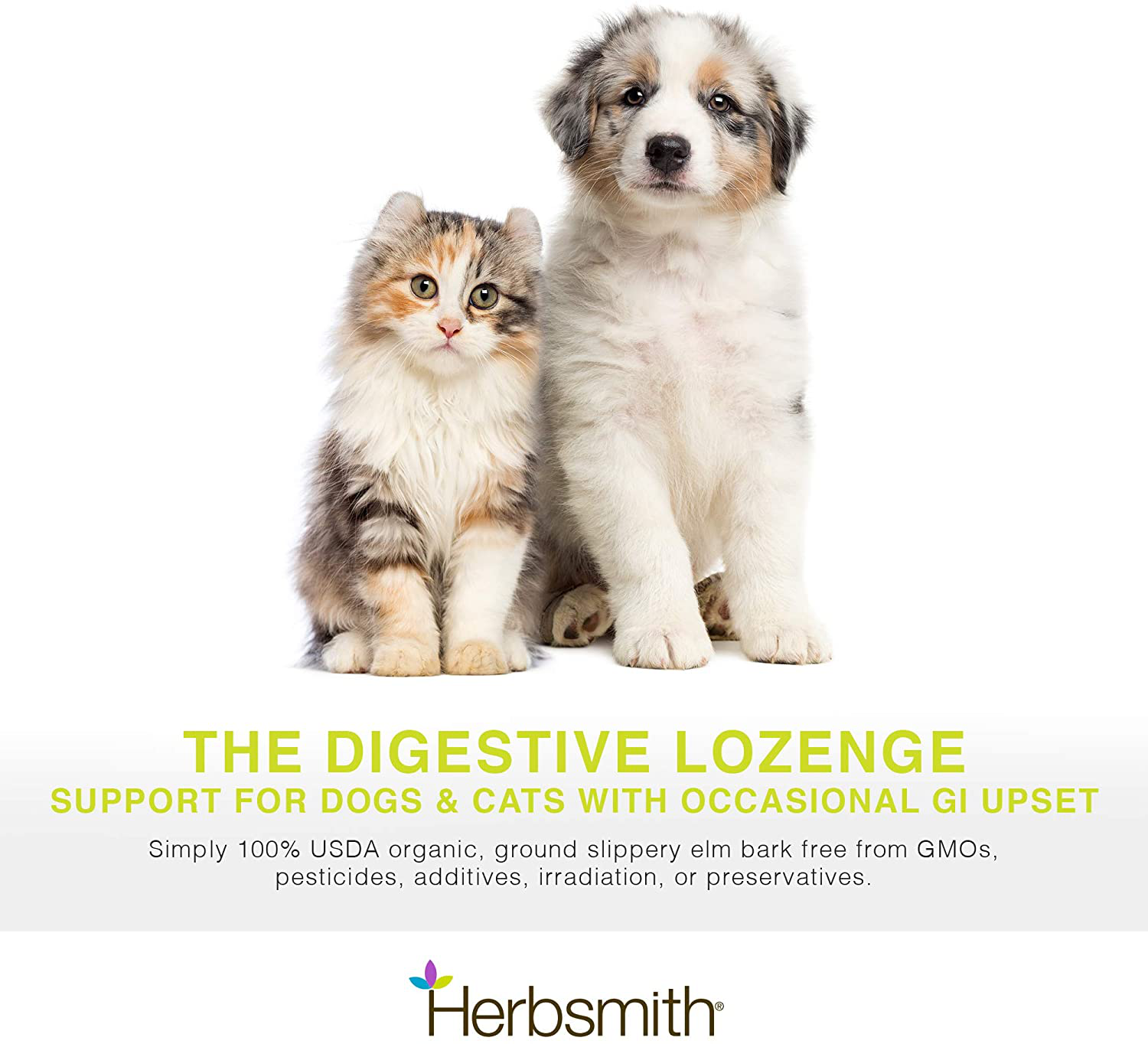 Herbsmith Organic Slippery Elm - Digestive Aid for Dogs and Cats - Constipation Relief for Dogs and Cats - Megaesophagus Dog Aid Animals & Pet Supplies > Pet Supplies > Small Animal Supplies > Small Animal Treats Herbsmith   