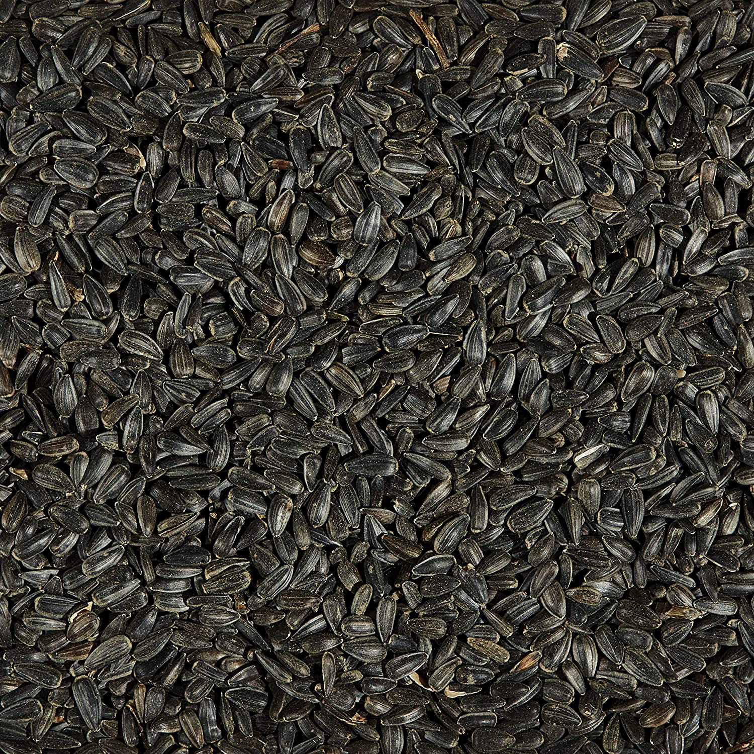 Kaytee Wild Bird Black Oil Sunflower Food, 20 Pounds Animals & Pet Supplies > Pet Supplies > Bird Supplies > Bird Food Kaytee   