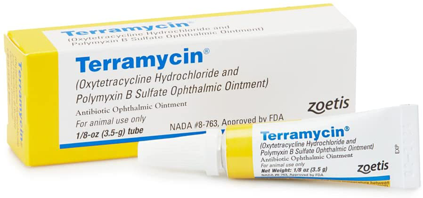 Terramycin Antibiotic Ointment for Eye Infection Treatment in Dogs, Cats, Cattle, Horses, and Sheep, 0.125Oz Tube Animals & Pet Supplies > Pet Supplies > Bird Supplies > Bird Treats Terramycin   