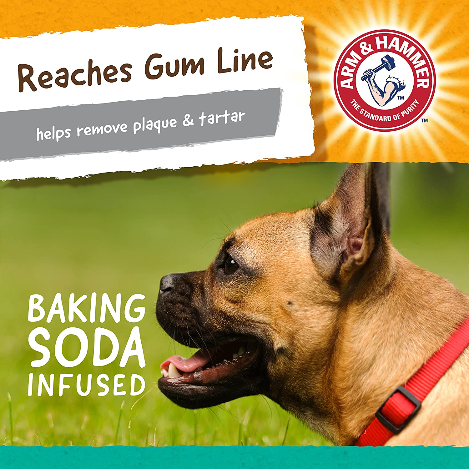 Arm & Hammer for Pets Super Treadz Dental Chew Toy for Dogs - Dog Dental Chew Toys Reduce Plaque & Tartar - Dog Chew Toys from Arm and Hammer, Pet Chew Toys for Dogs Animals & Pet Supplies > Pet Supplies > Dog Supplies > Dog Toys Arm & Hammer   