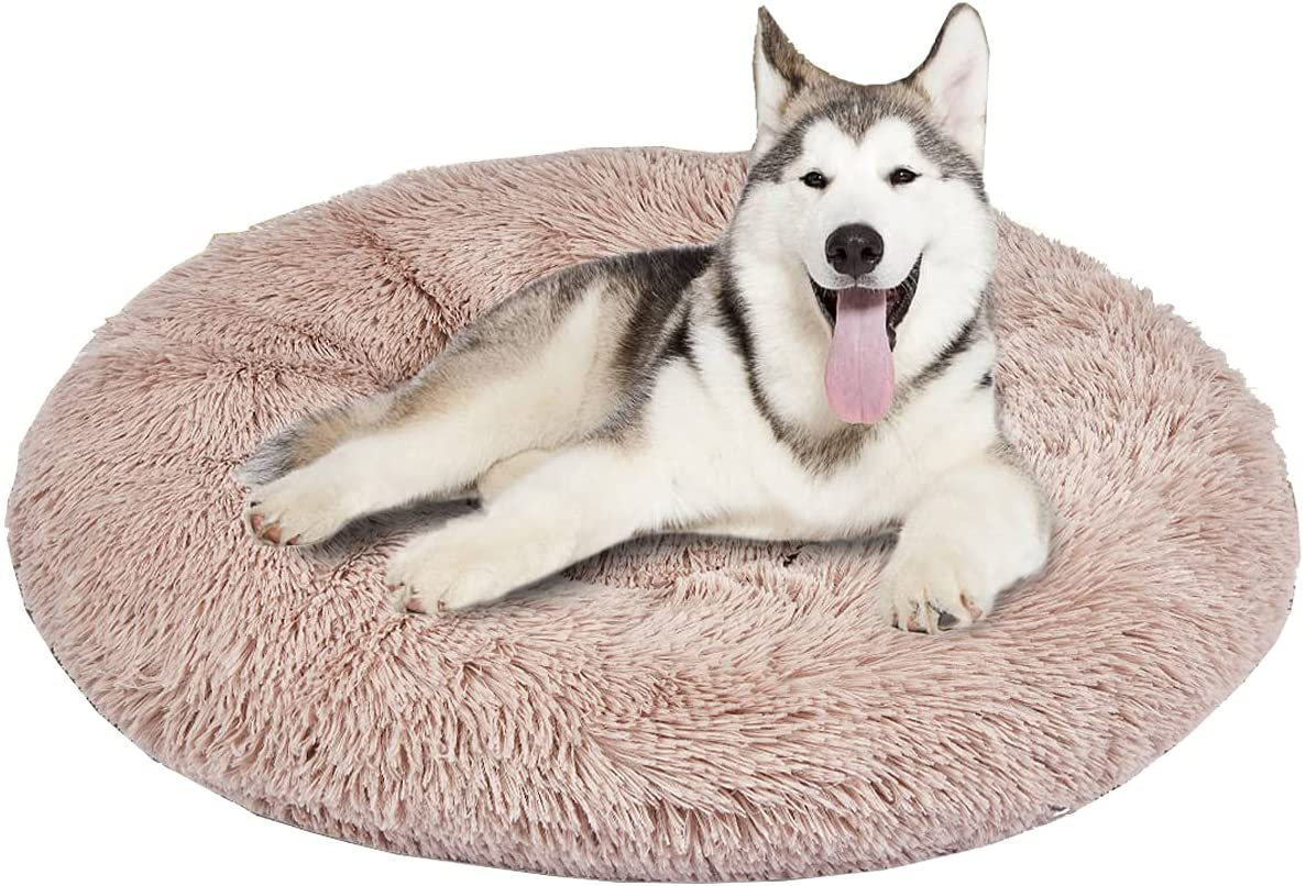 Sdrawkcab Large Dog Bed, Fluffy Dog Bed for Medium to Large Dogs and Cats, Washable round Stuffed Donut Bed for Large Medium Small Dogs and Cats Animals & Pet Supplies > Pet Supplies > Dog Supplies > Dog Beds Sdrawkcab   